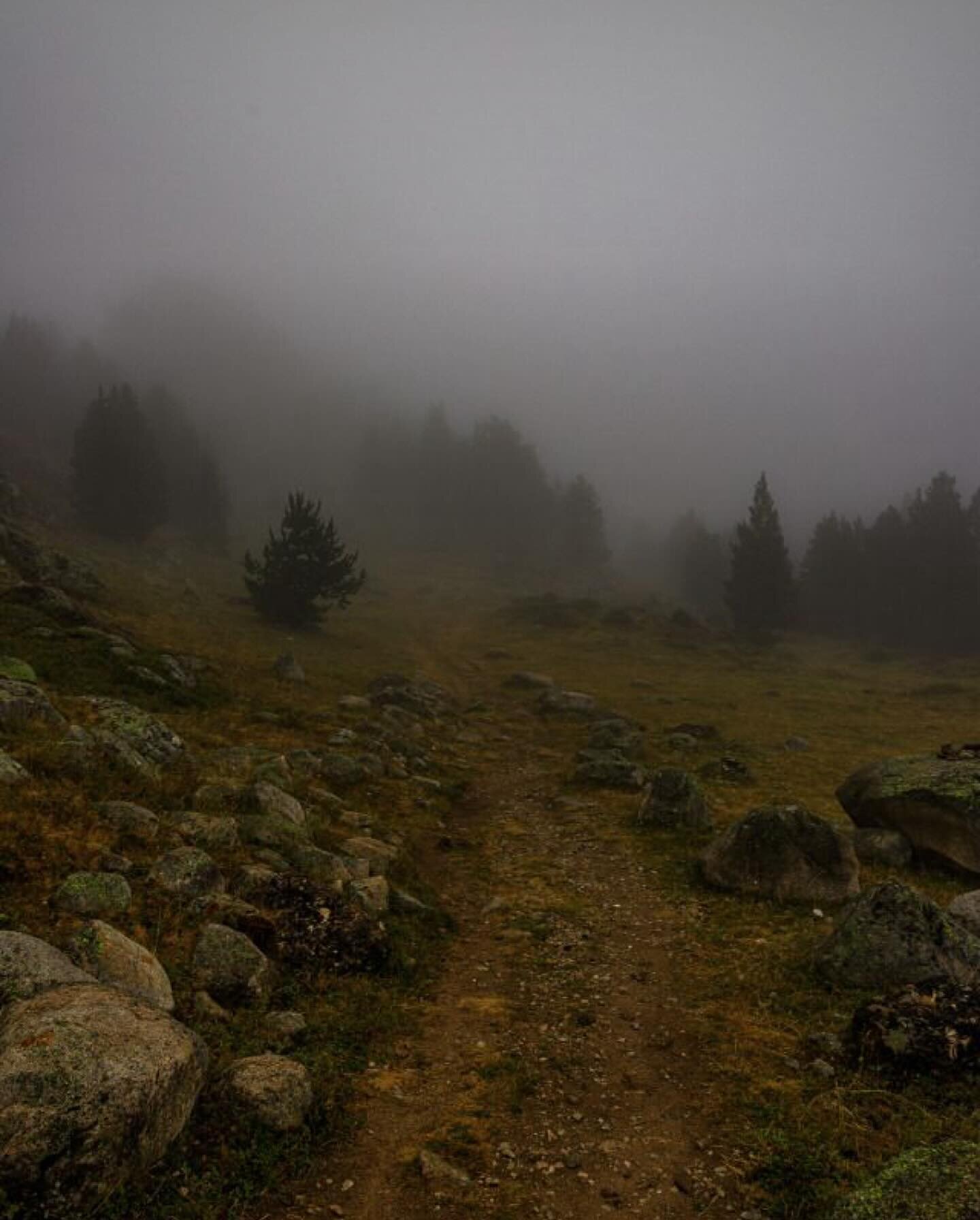 Abendessen des J&auml;gers
Our next Wine Dinner is live! 

Join us for a journey into the Black Forest, with our &lsquo;German Hunter&rsquo;s Dinner&rsquo;. This will be a game-driven 5 course experience, and will showcase amazing German wines from t