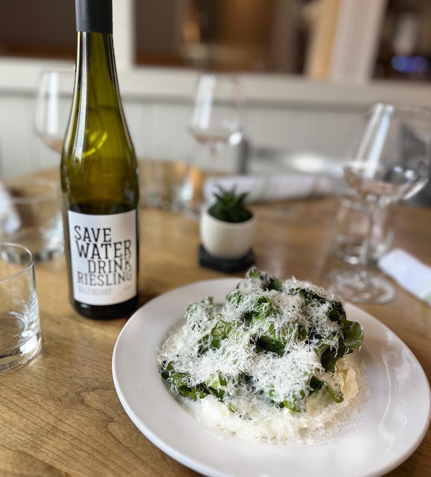 Ricotta Insalata&bull;rio grande farm park baby chard&bull;white truffle vinnie&bull;pecorino🥬✨
.
.
.
.
.
.
.
.
.
#ricotta #eatyourgreens #pecorino #riograndefarm #chard #farmtotable #farmtofork #localfarm #supportlocalfarmers #seasonalfood #seasona