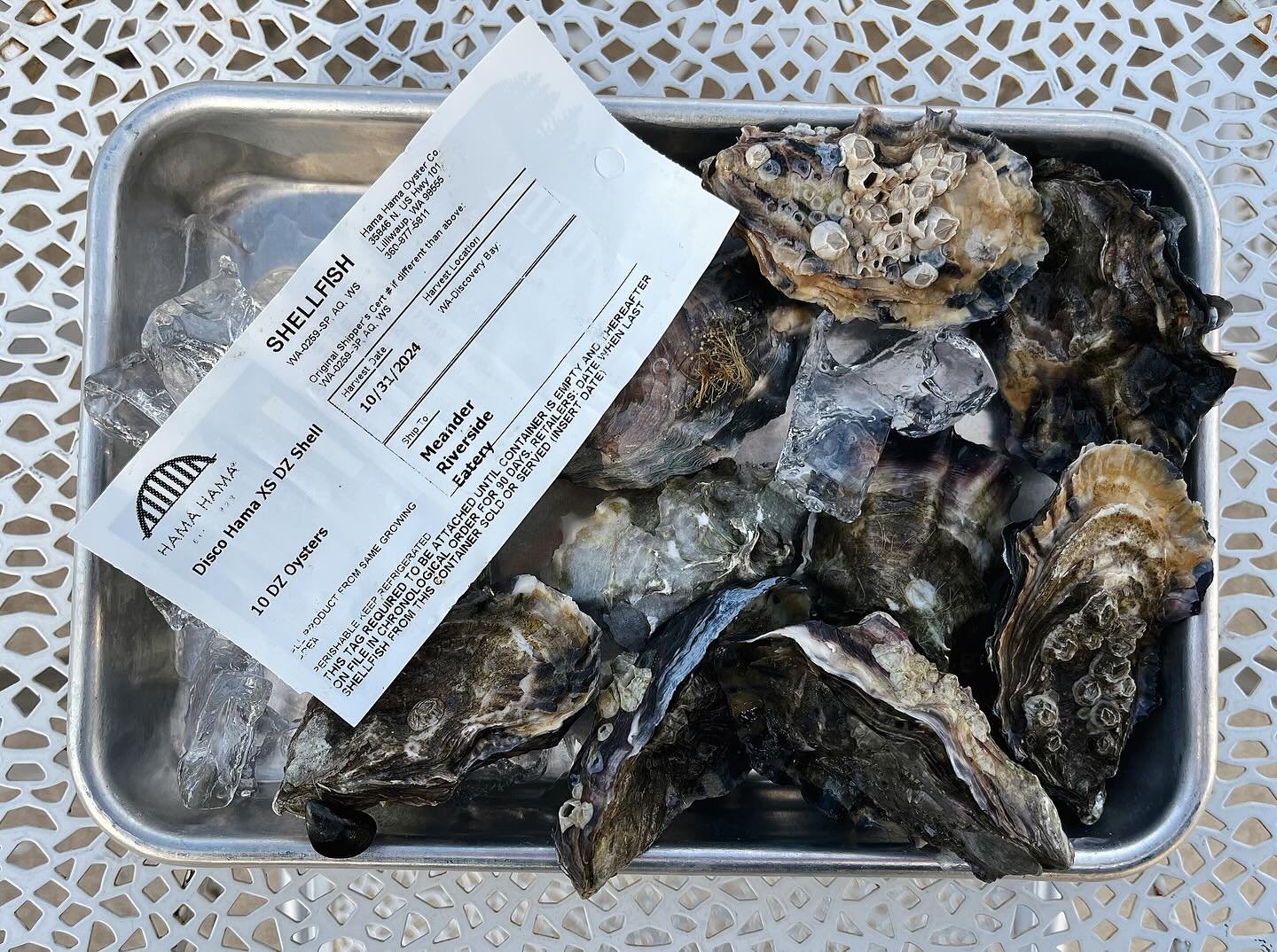 Why are  @hamahamaoysters &lsquo;Disco Hama&rsquo; oysters so delicious? 
They were harvested yesterday and sent to our doorstep! Feeling so thankful for this incredibly fresh treat right here in Pagosa 🙏🏼
.
.
.
.
.
.
.
.
.
.
.
#oyster #oysters #ha