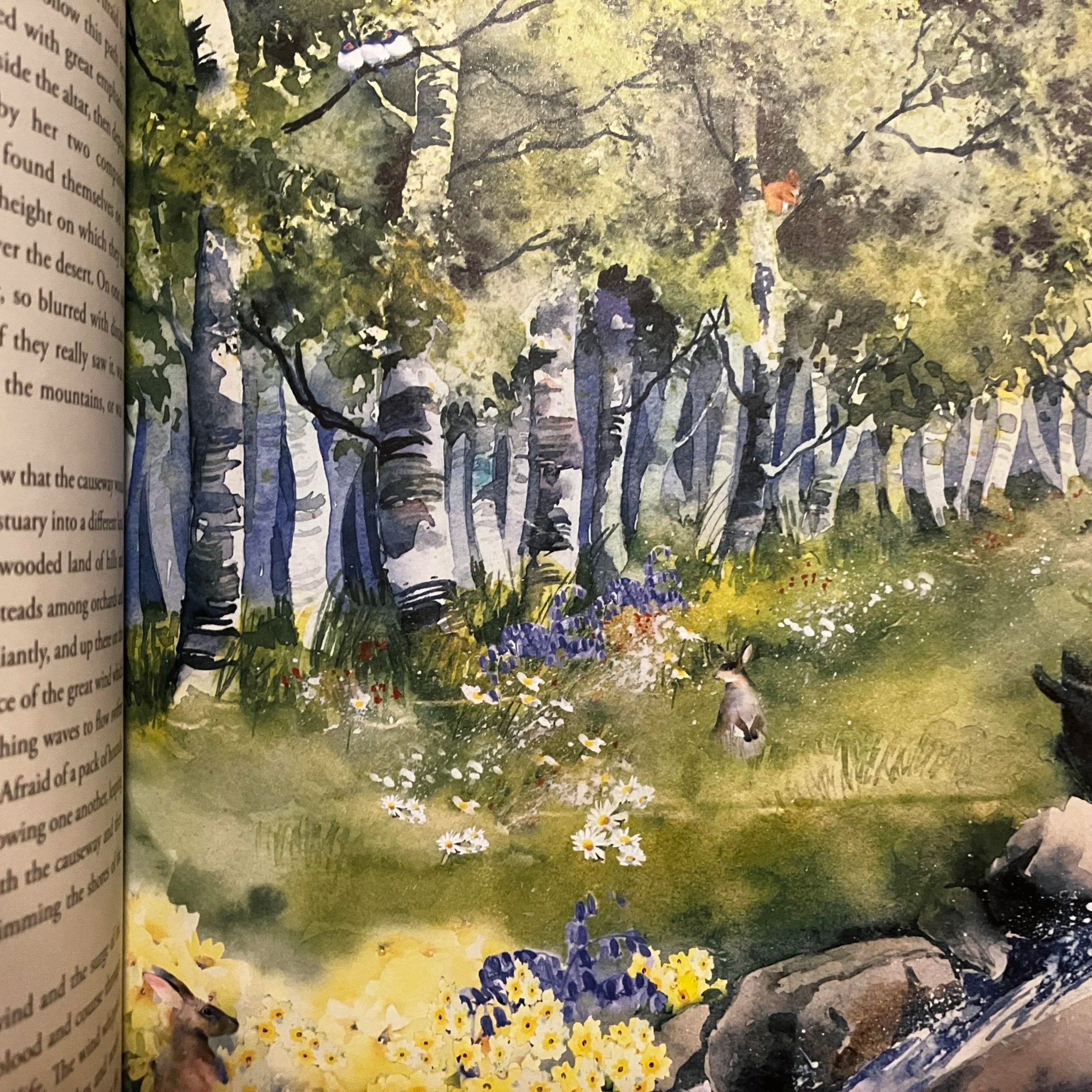 Hinds Feet on High Places Summary and Thoughts - Chapter 9