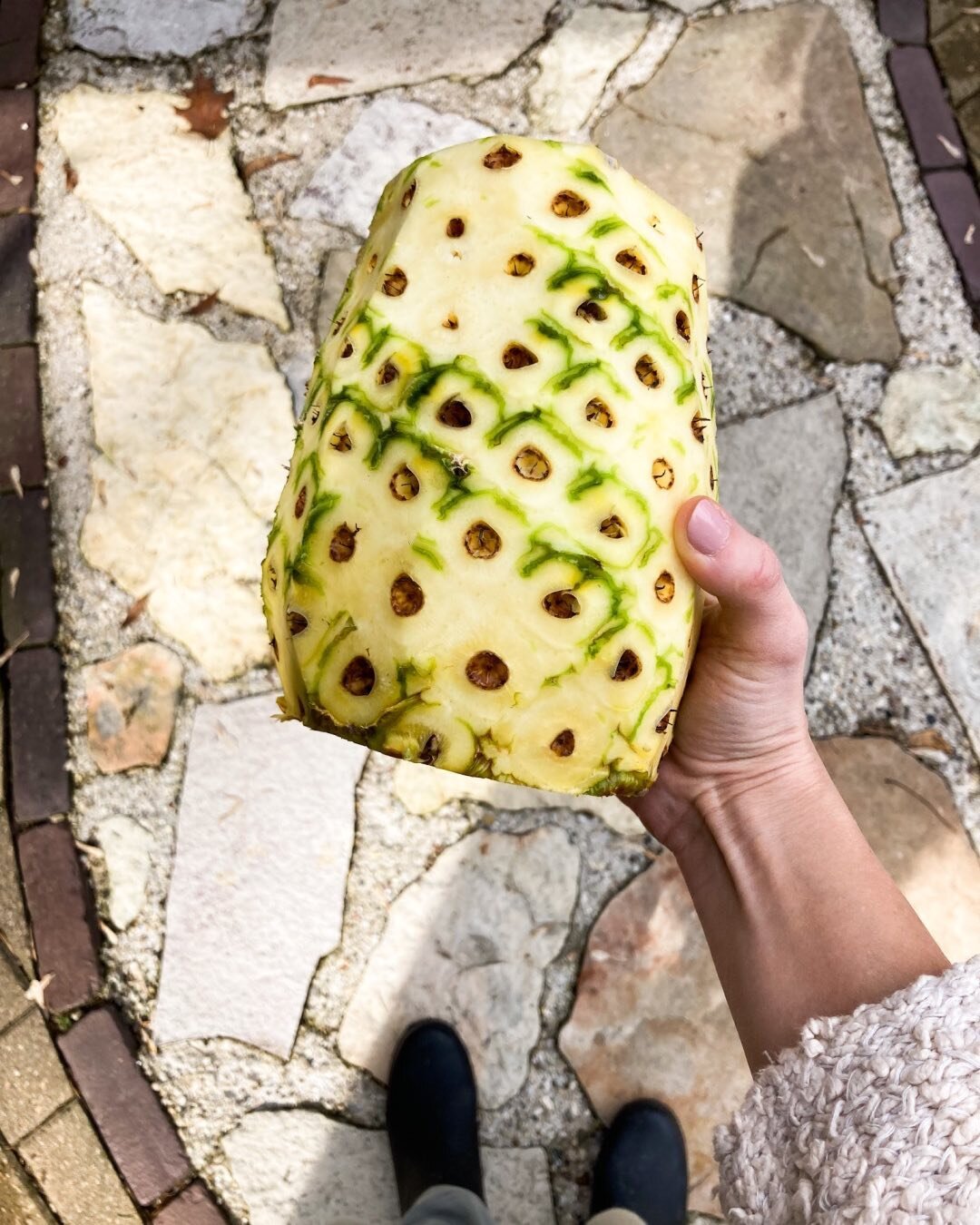 A pineapple a day might melt the snow away ☀️🍍

Anyone else ready for spring?