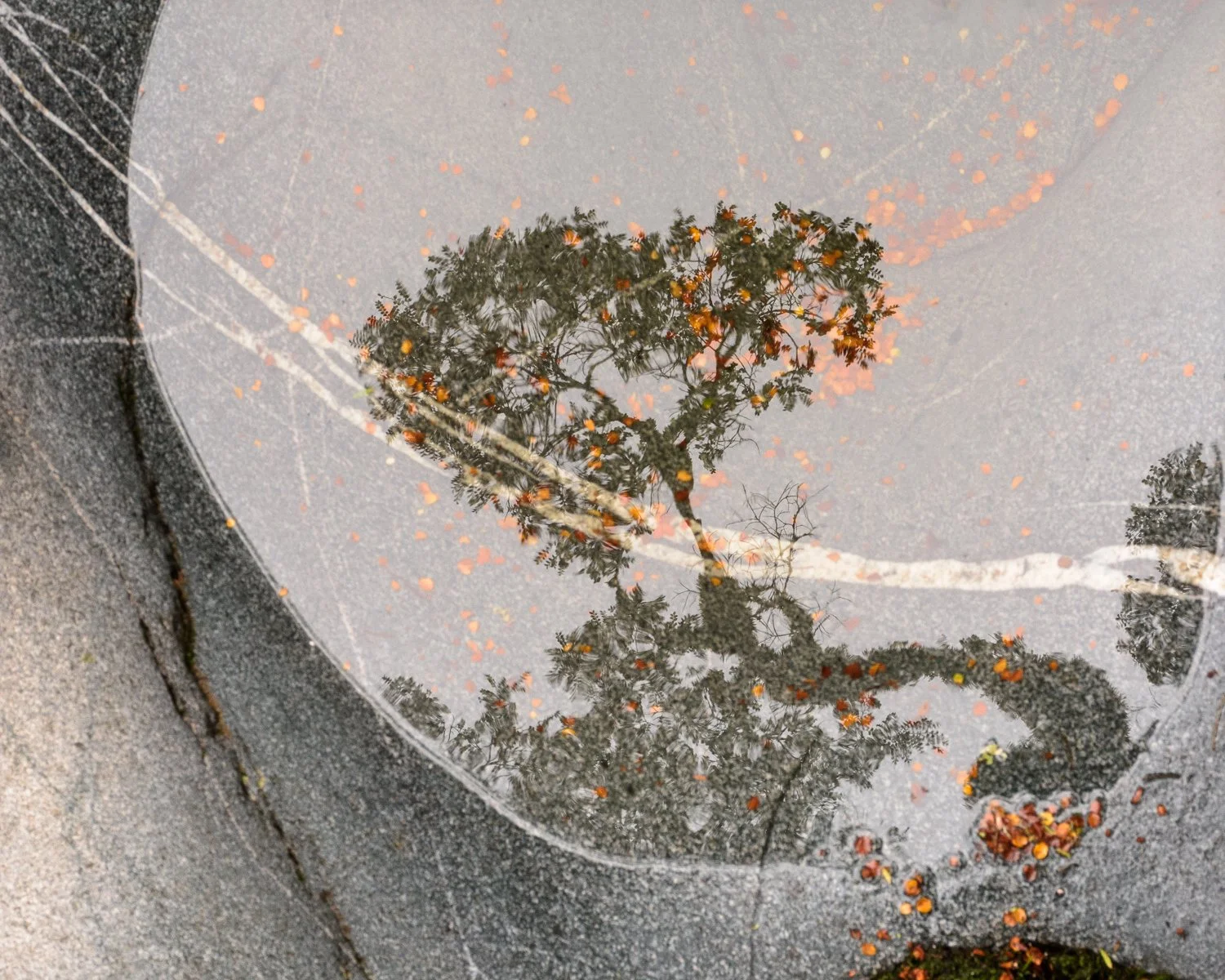 Beach Mirror, Milford Sound, New Zealand, 2019