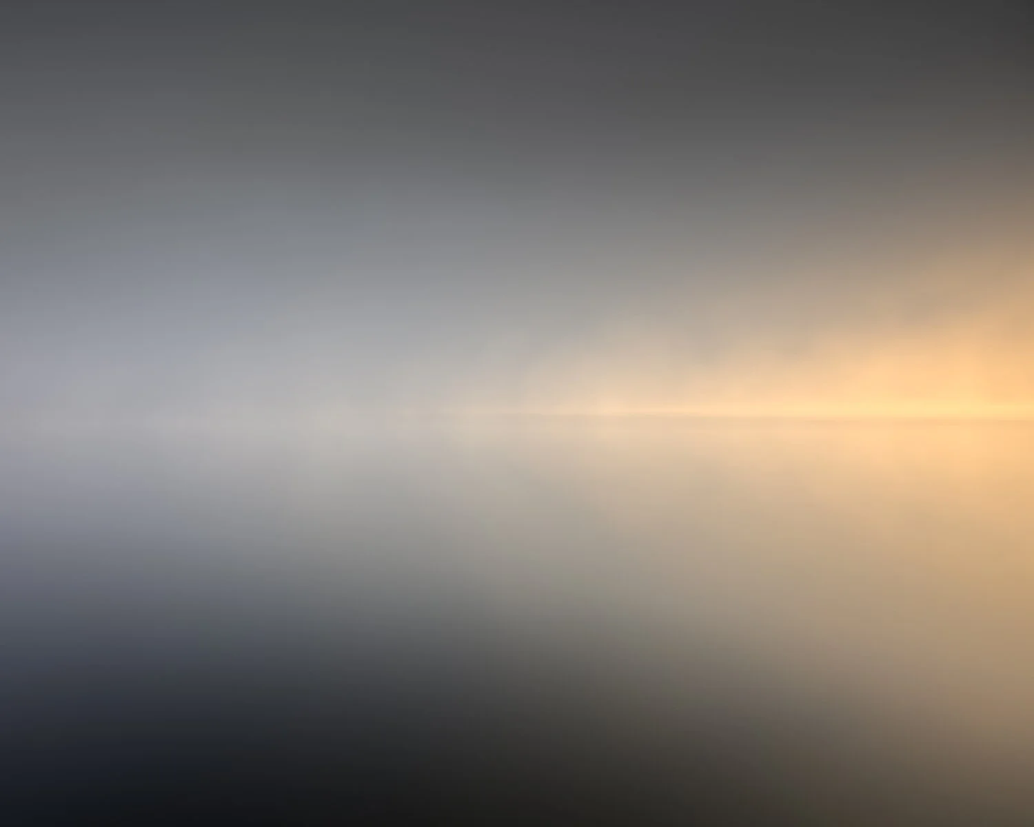 Dissolve, West Coast, New Zealand, 2024