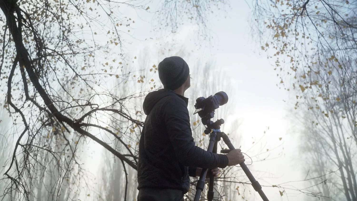 Documentary by Sean Tucker