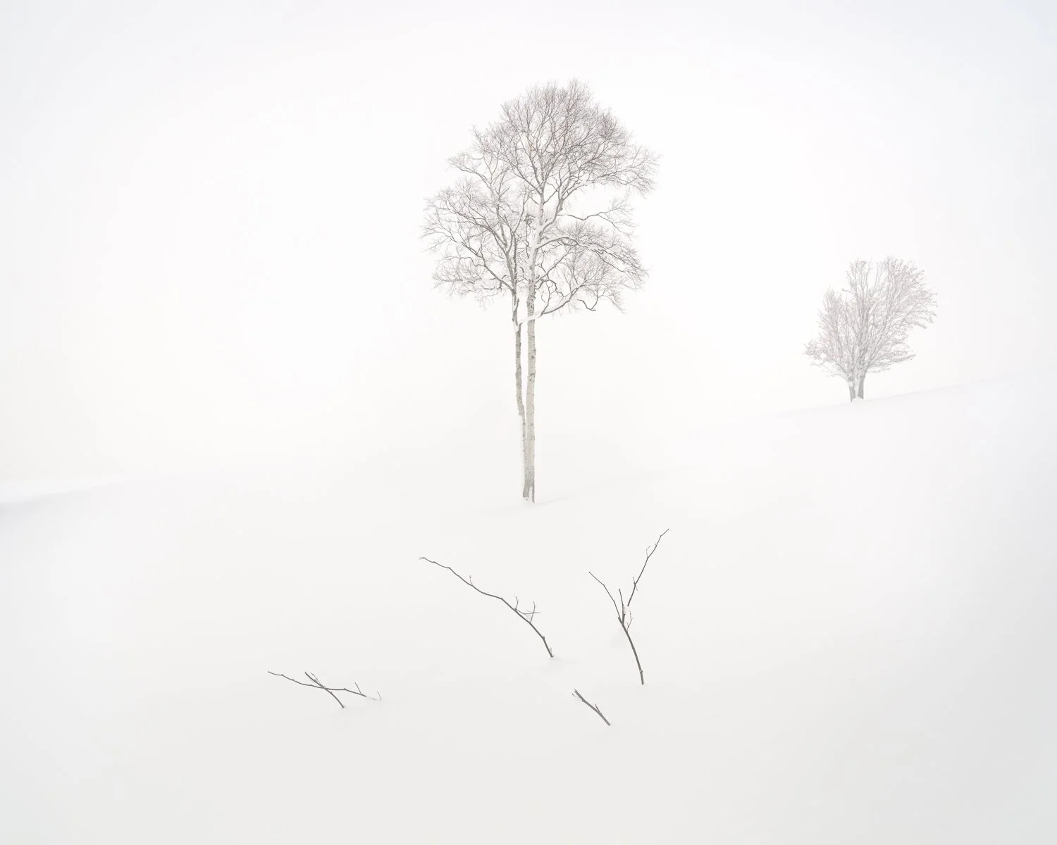 The Quiet Between, Hokkaido, Japan, 2025