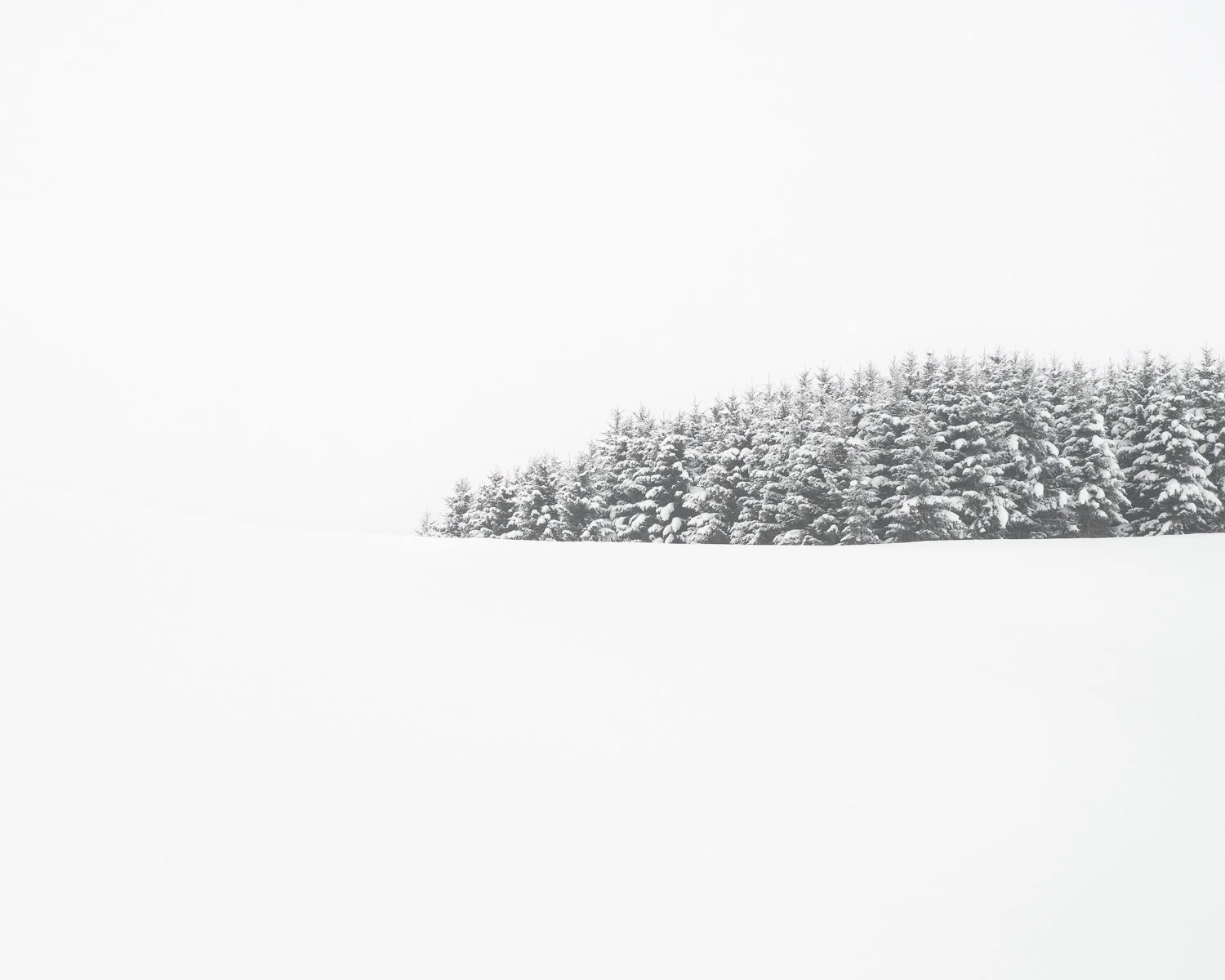 The Weight of Stillness, Hokkaido, Japan, 2026