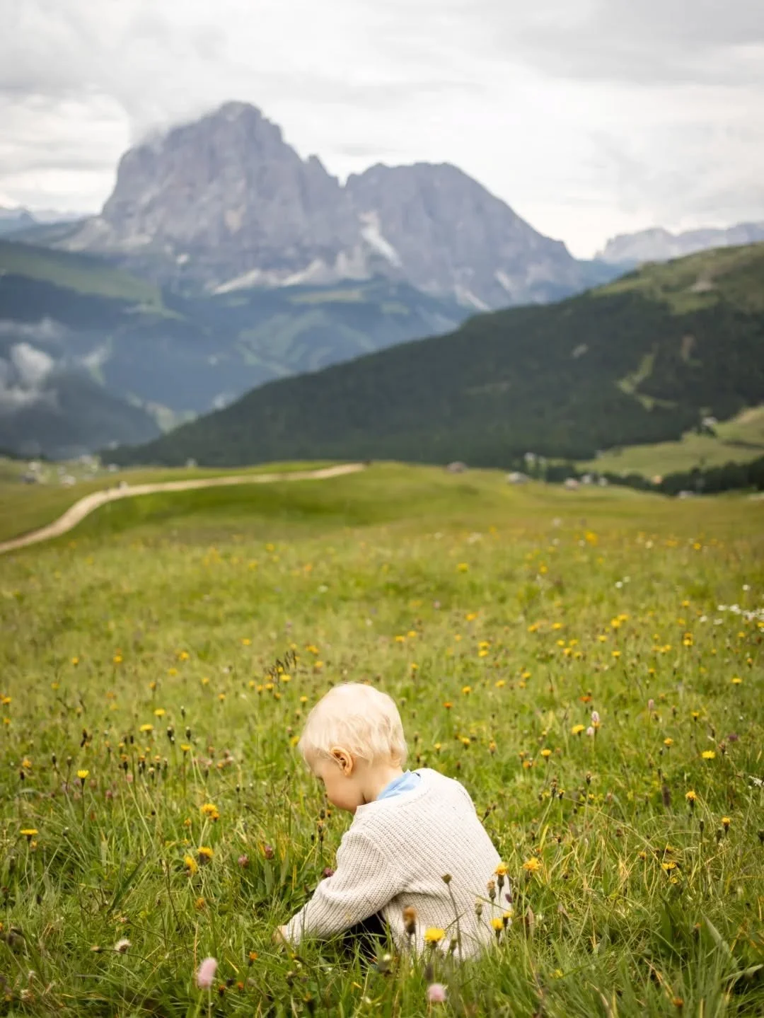 Dolomiitit oli kes&auml;n yksi kohokohta ⛰️ Toinen toistaan hienompia maisemia ja vaelluskohteita vuorten huipuilla.
.
.
.
.
#dolomites #italianalps #dolomiitit #seceda #lagodicarezza