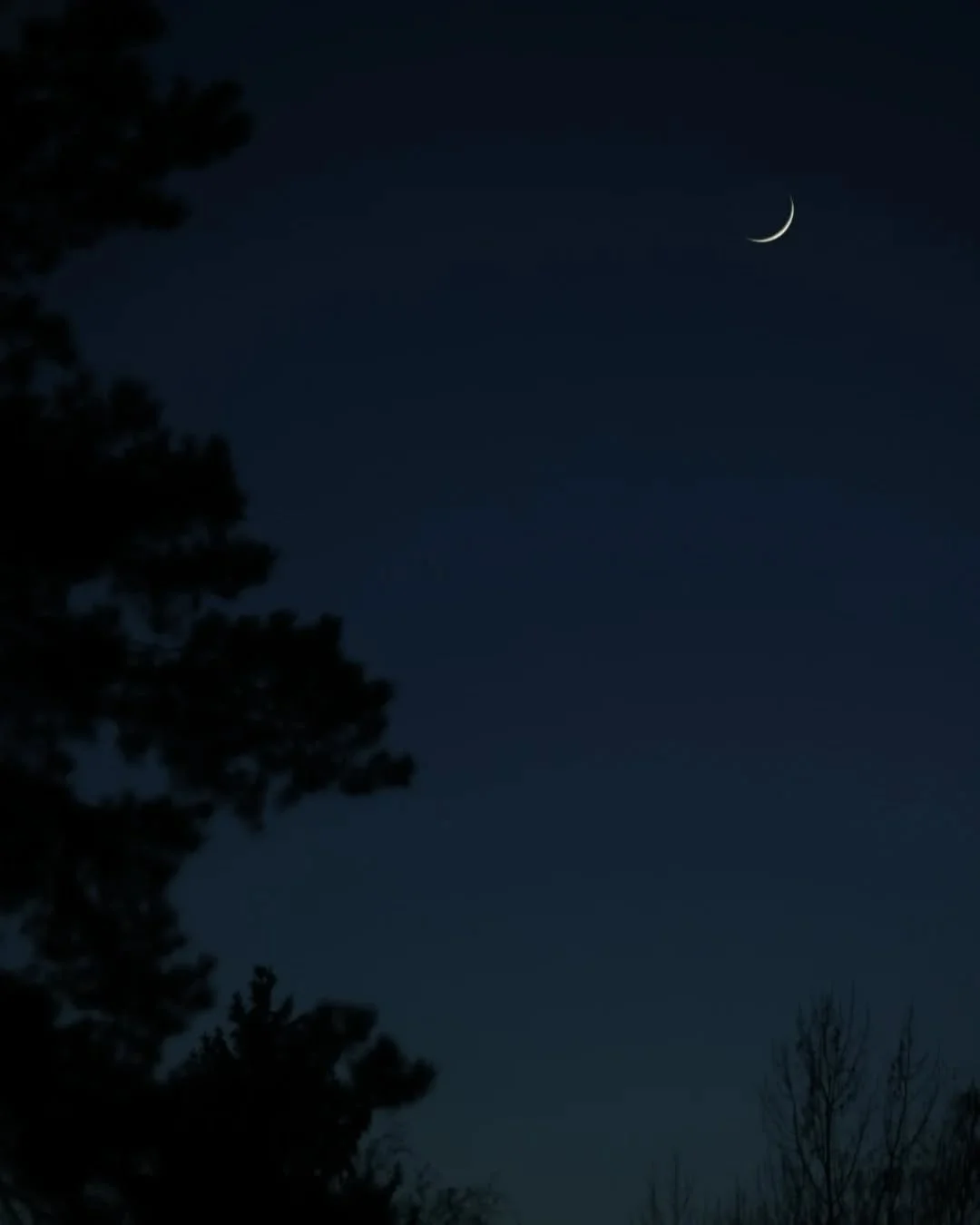 Good night 🌙
Yksi ilta oli hieno kuun sirppi taivaalla.
.
.
.
.
#luontokuva #luontokuvaus #photography