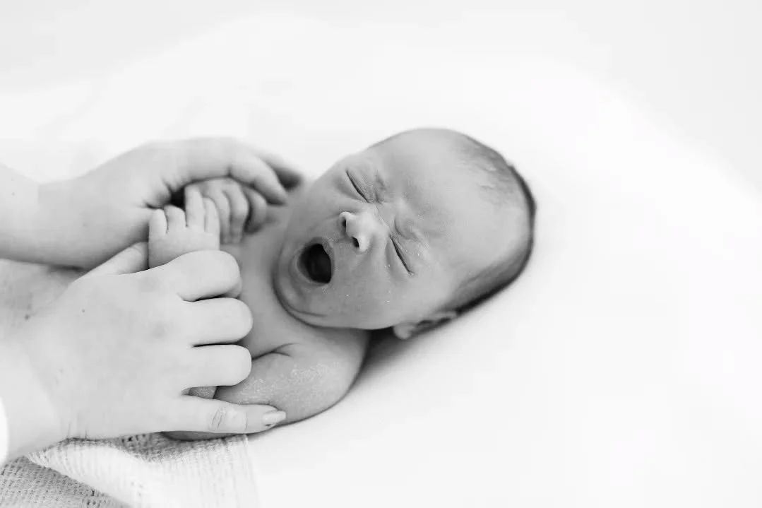 Ensimm&auml;isin&auml; viikkoina kun ajan voisi hetkeksi pys&auml;ytt&auml;&auml;. Pienet kasvavat niin nopeasti 🤍 Onneksi valokuvin voi palata n&auml;ihin hetkiin. Kuvia ei kai voi olla koskaan liikaa?

#newbornphotography
#vauvakuvaus
#vastasyntyn