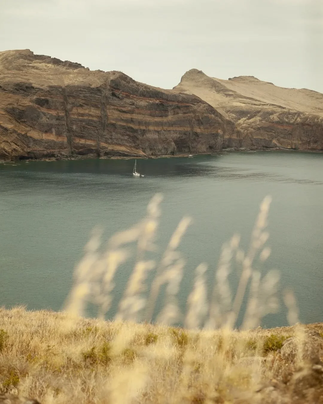 Kaksi lempikuvaa kahdesta hienosta luontokohteesta. Madeira ja Lofootit 🌾⛰️