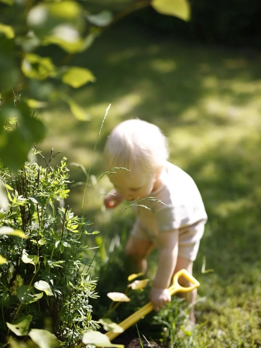 The beauty of everyday life ✨
Don't forget to capture the moments between the highlights.