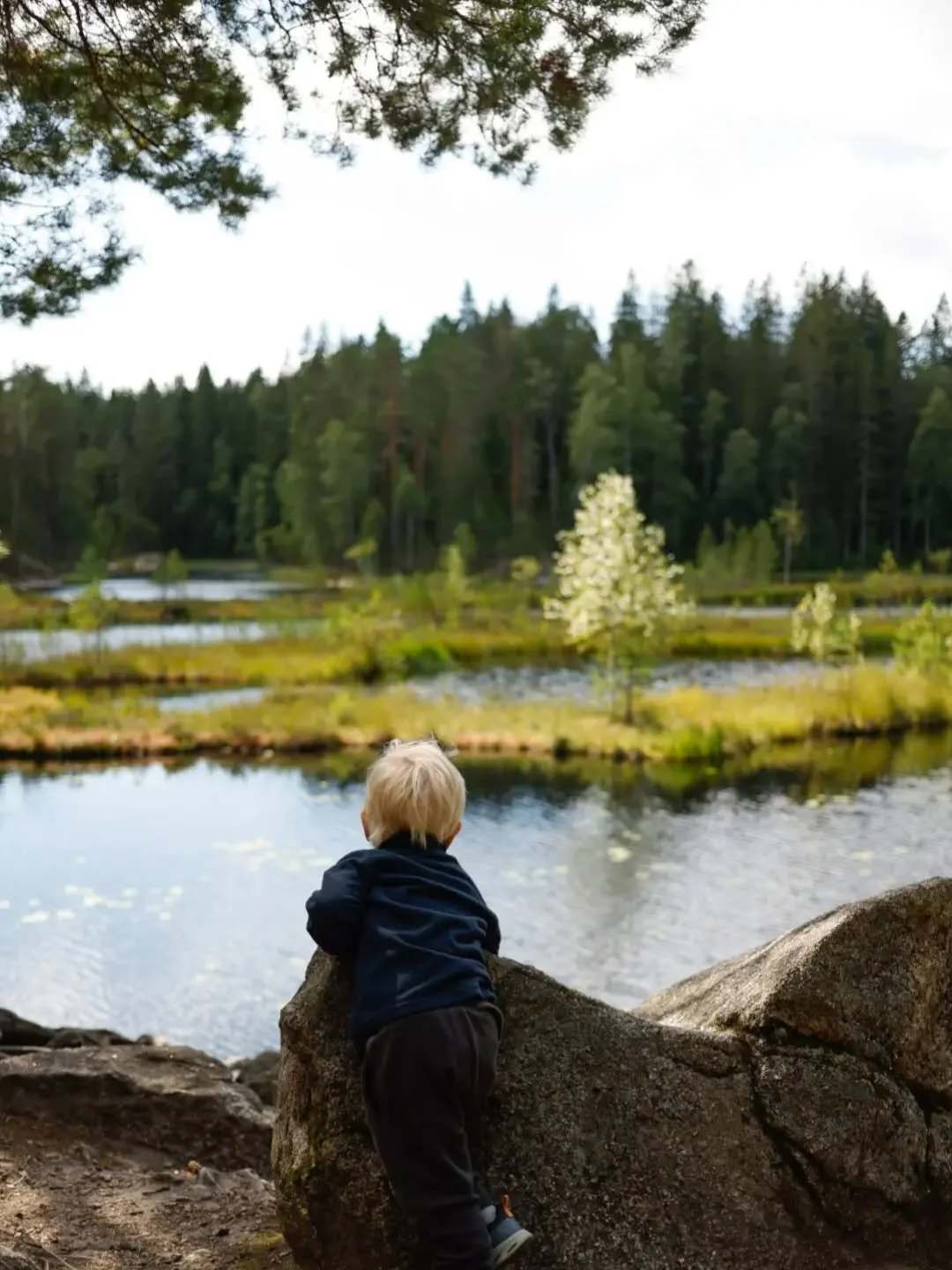Suomen luonto 🌲
Mets&auml;, kalliot, luontopolku, mustikat, lammet. 
"Ei menn&auml; viel&auml; kotiin" 💚

#finnishnature #suomenluonto #nuuksio