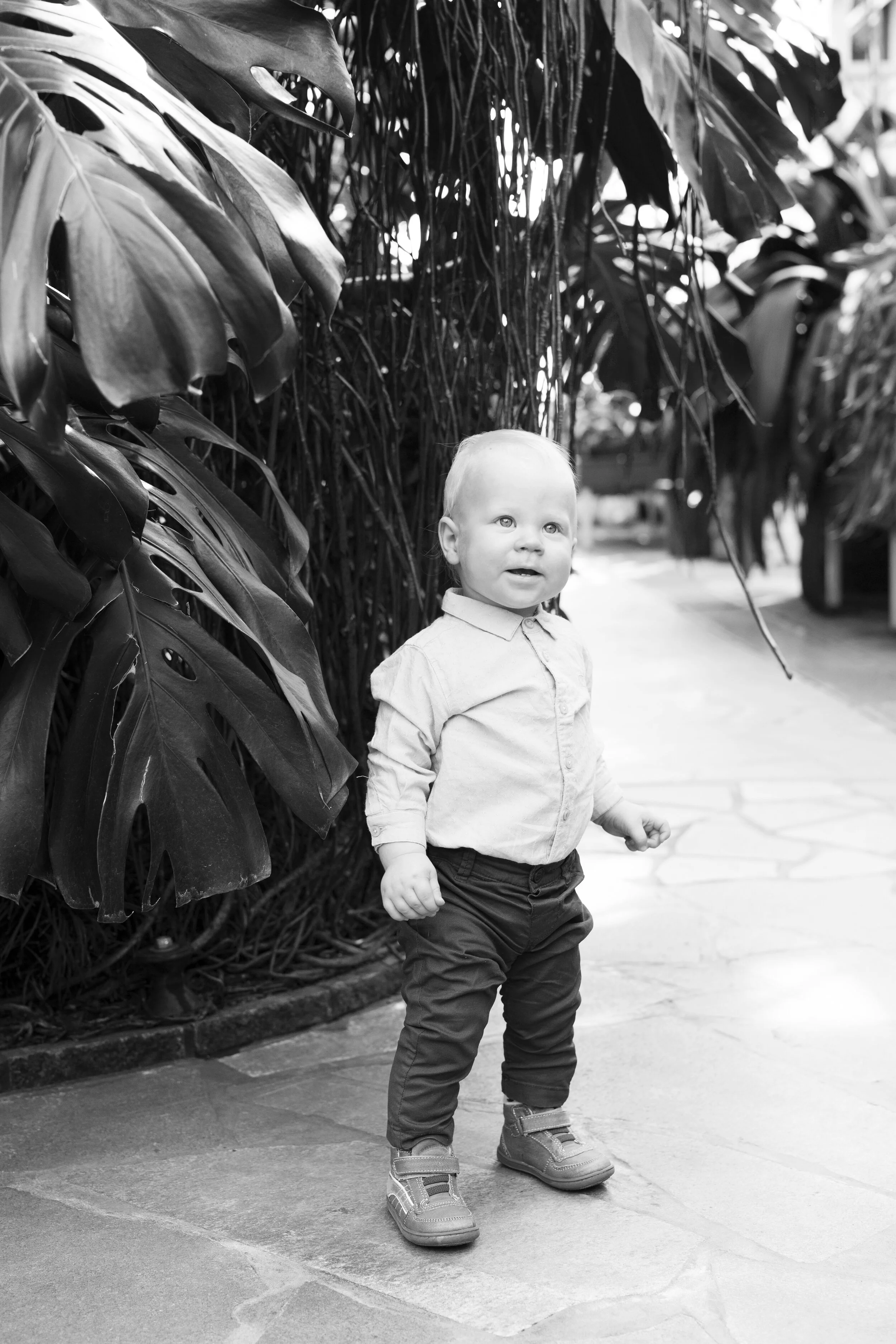 1-vuotiskuvaus miljöössä