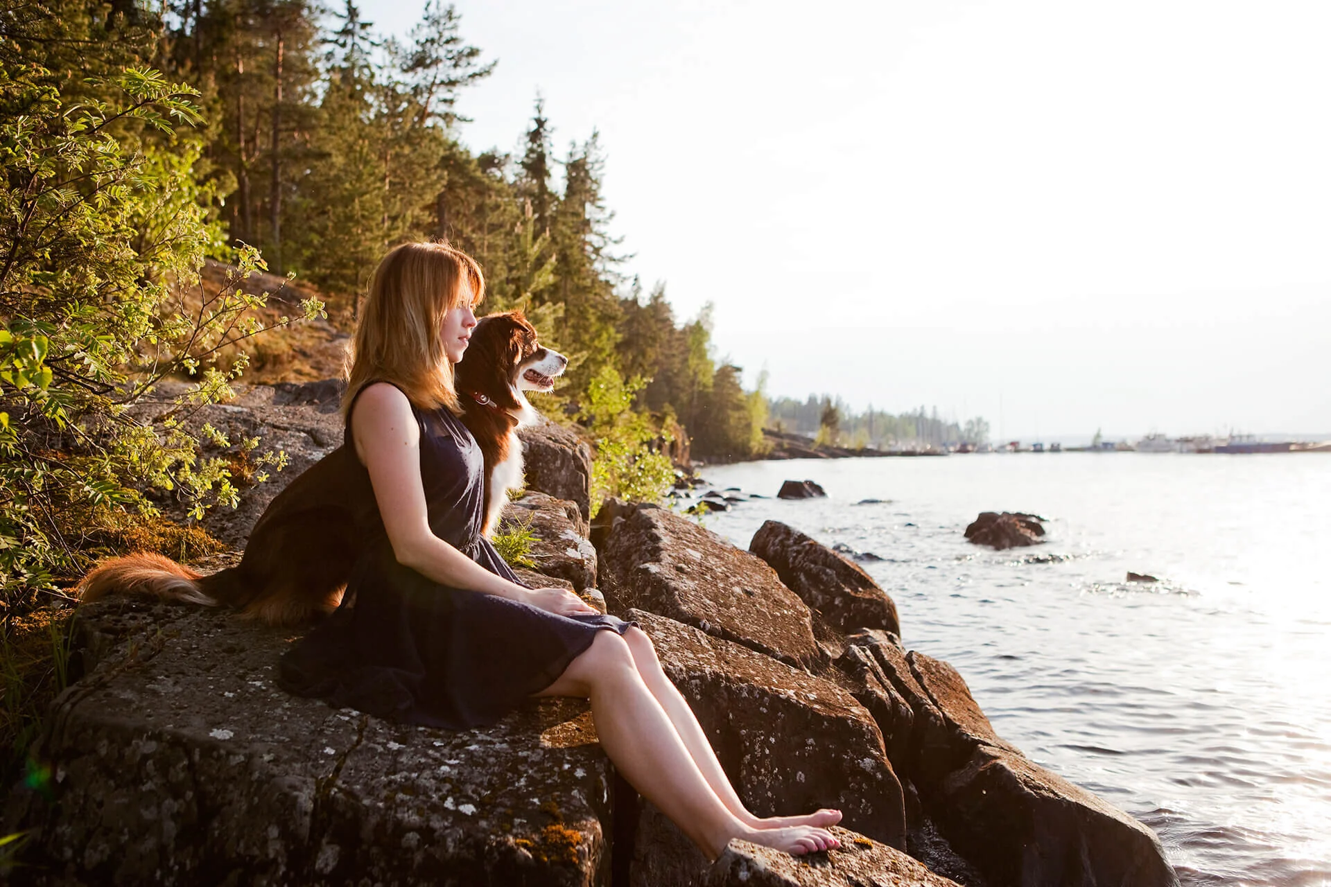 koirakuvaus luonnossa Helsingissä