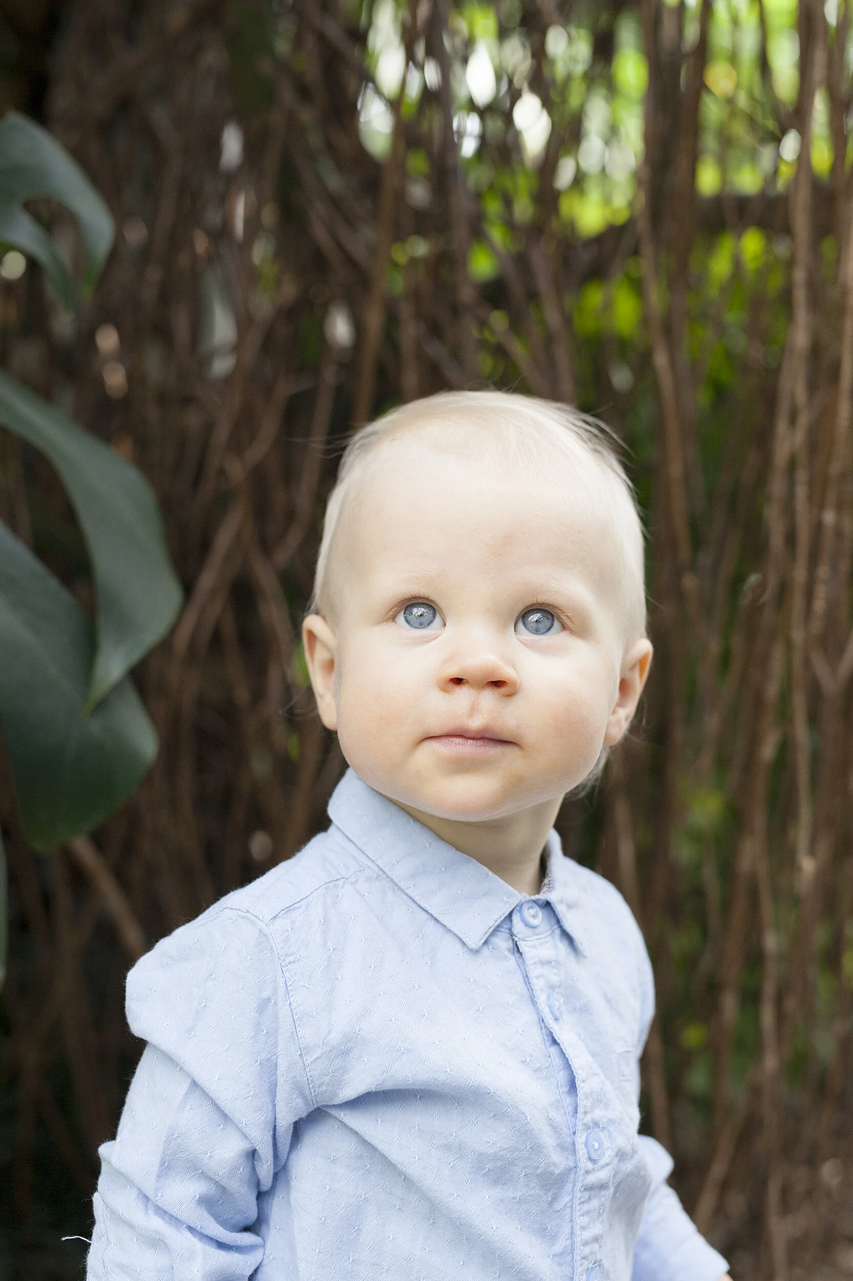 1-vuotiskuvaus Talvipuutarhassa