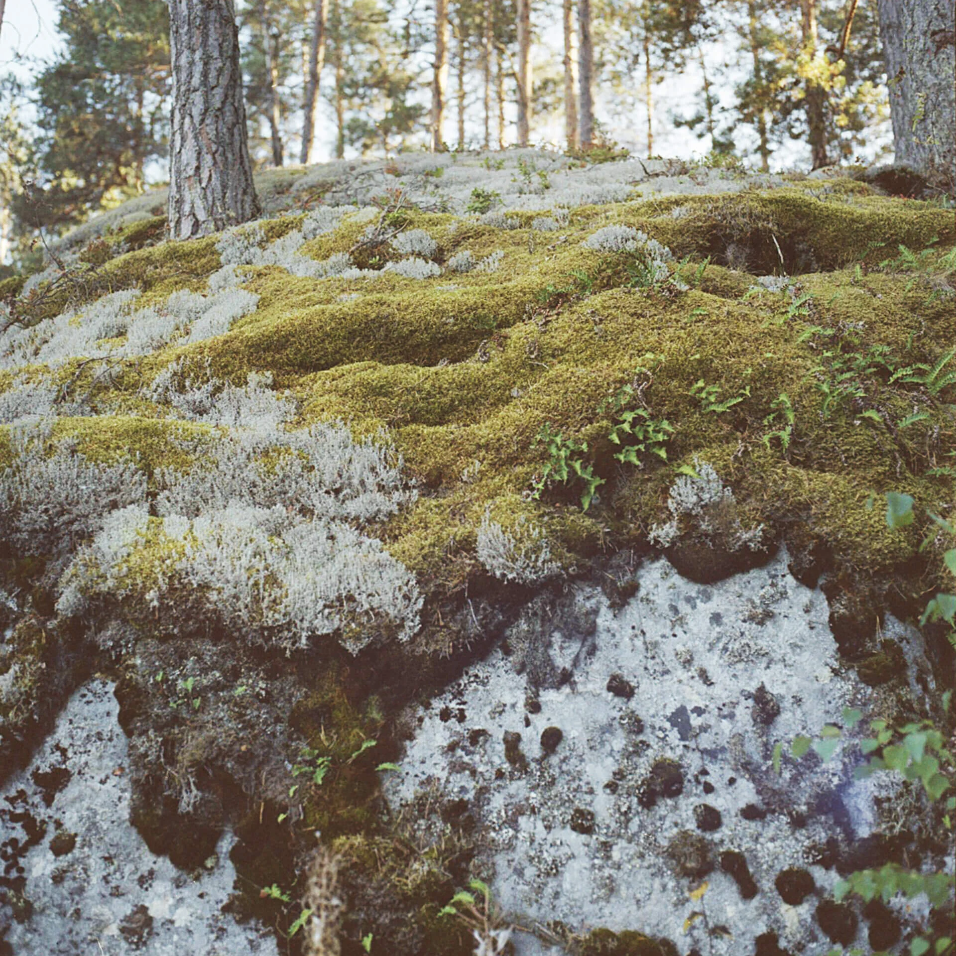 Valokuvakirja