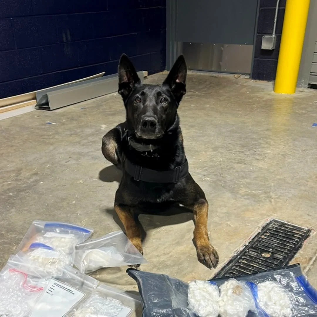 Drug Bust.jpg