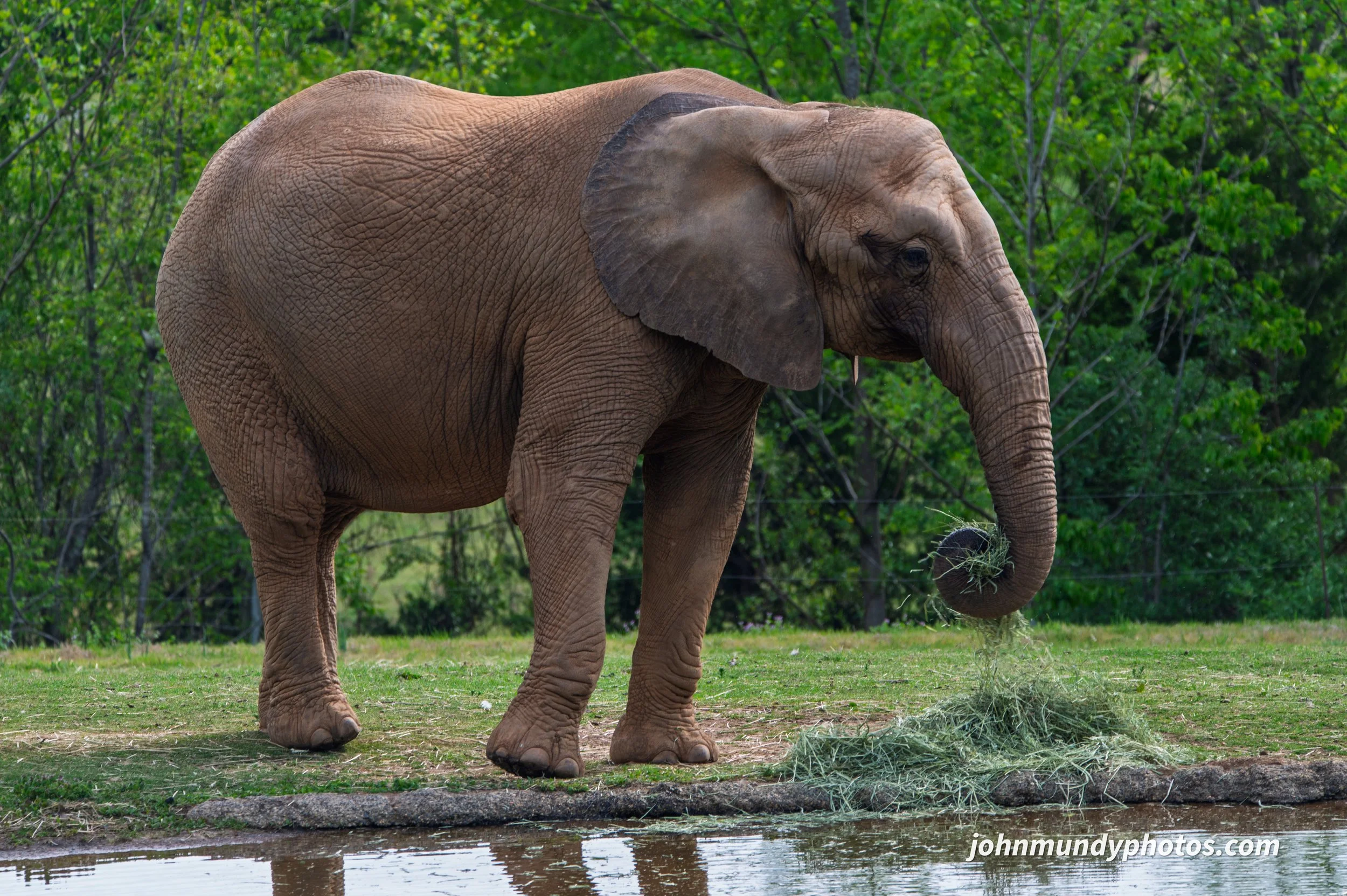 zoo-09.jpg