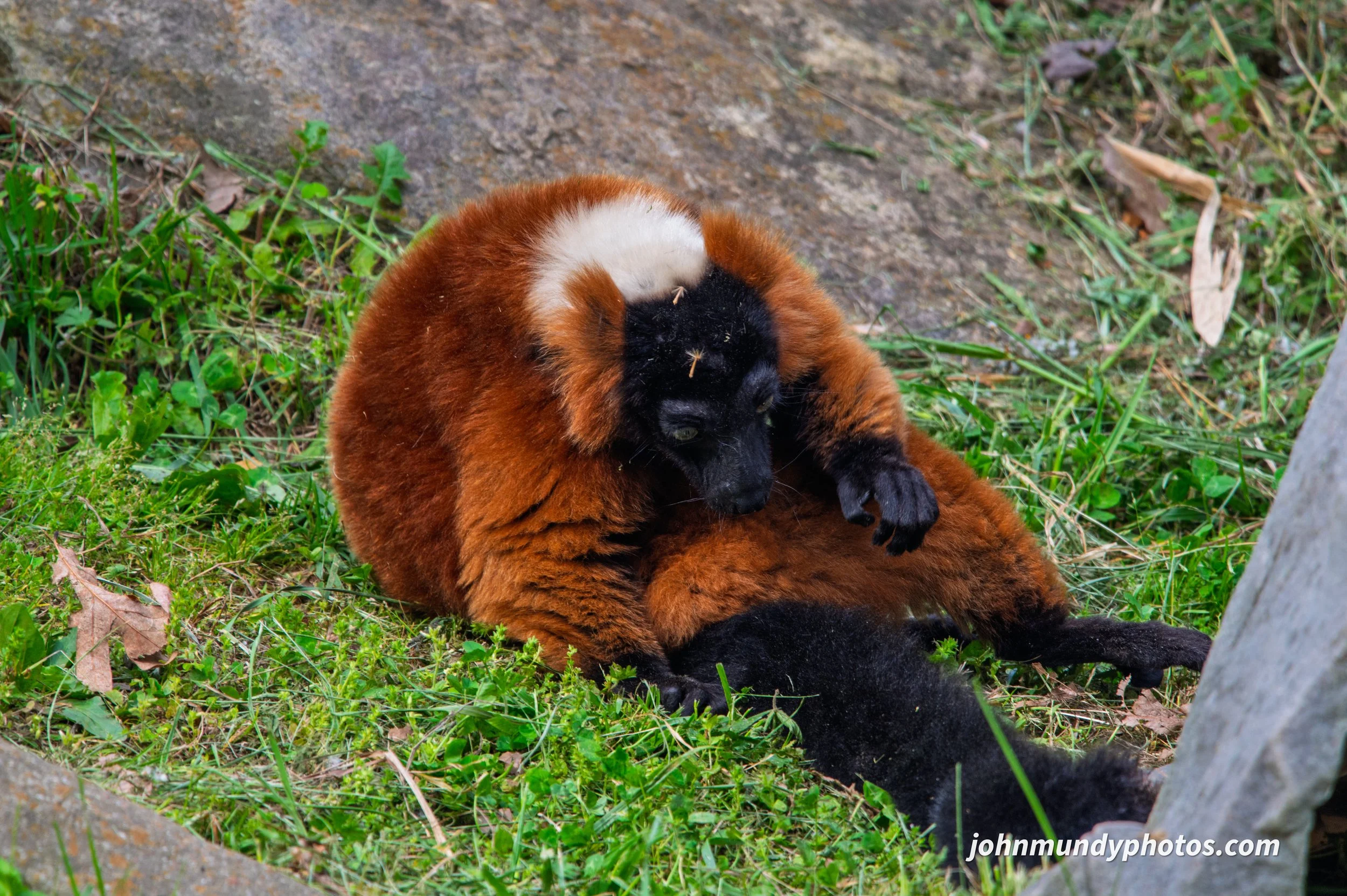 zoo-37.jpg