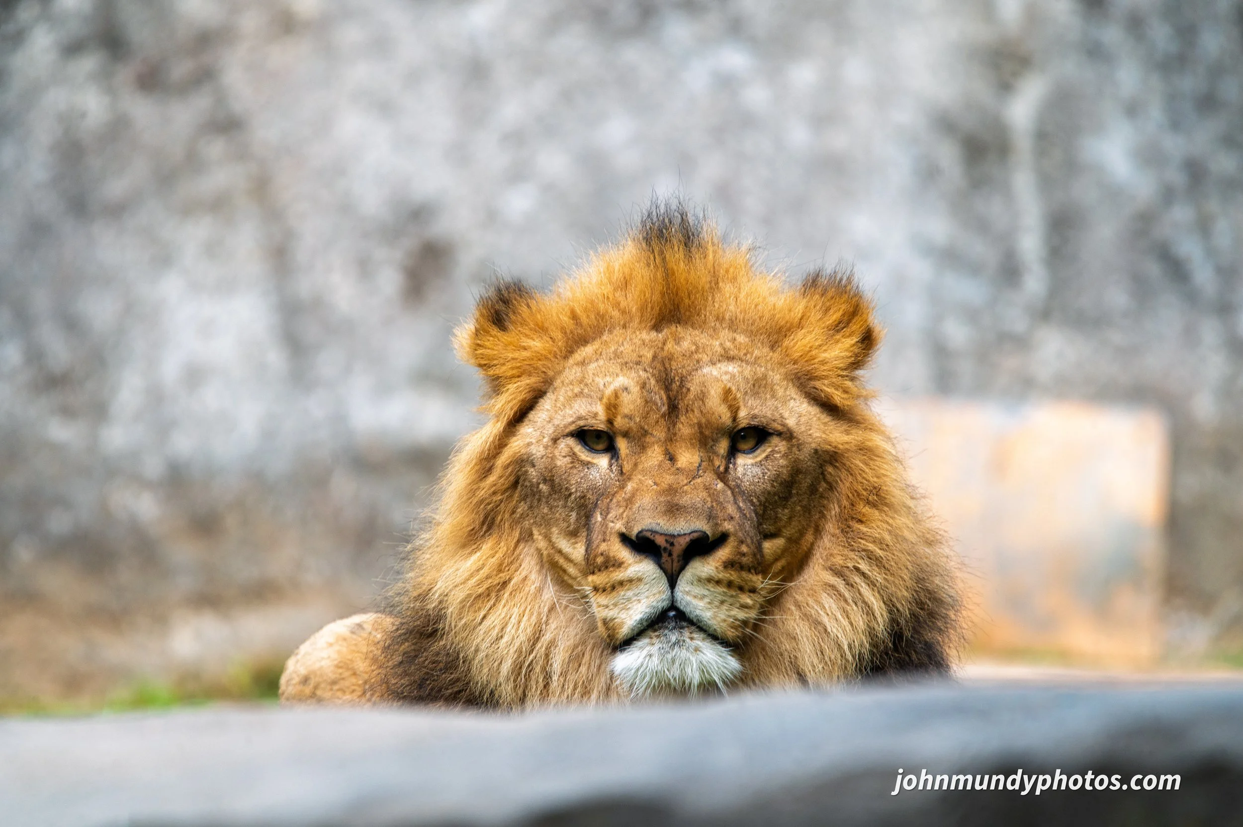 zoo-44.jpg