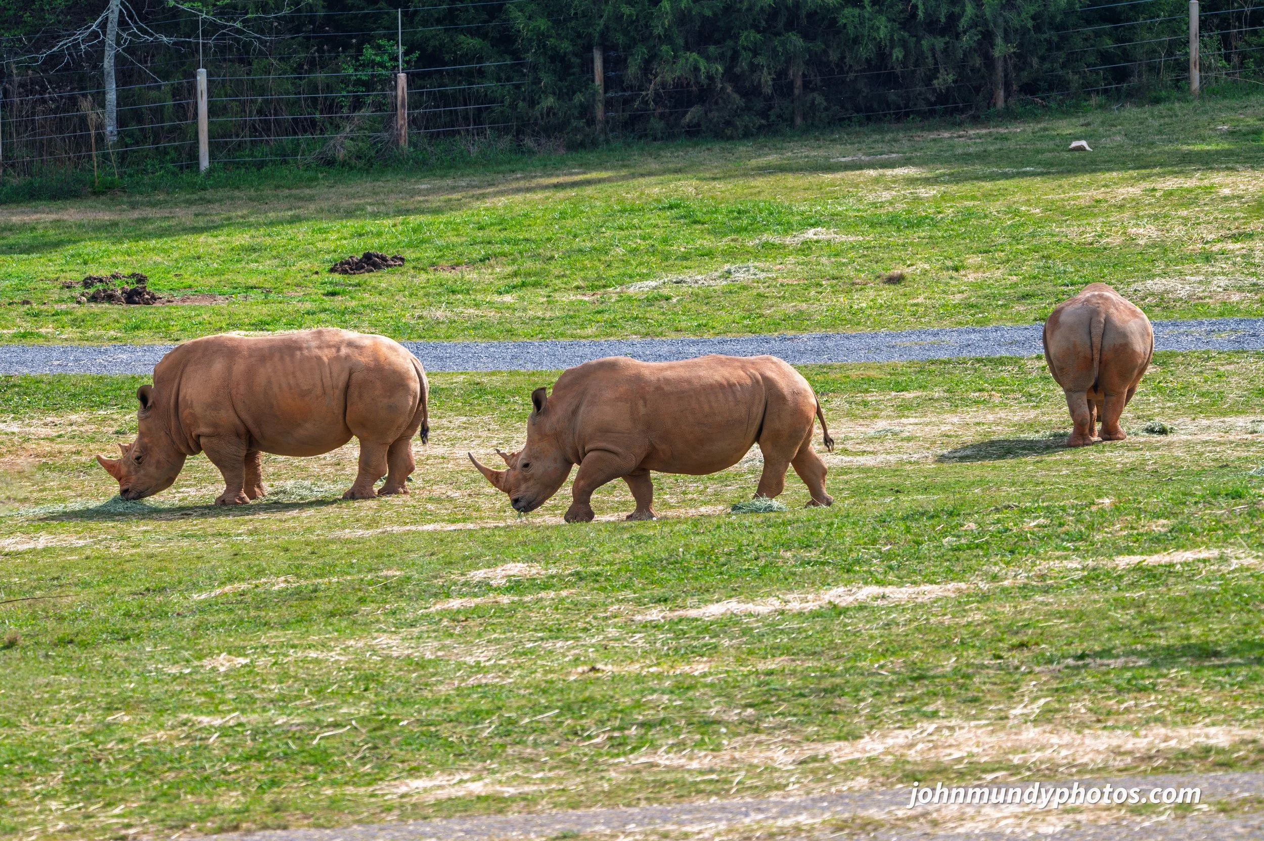 zoo-18.jpg