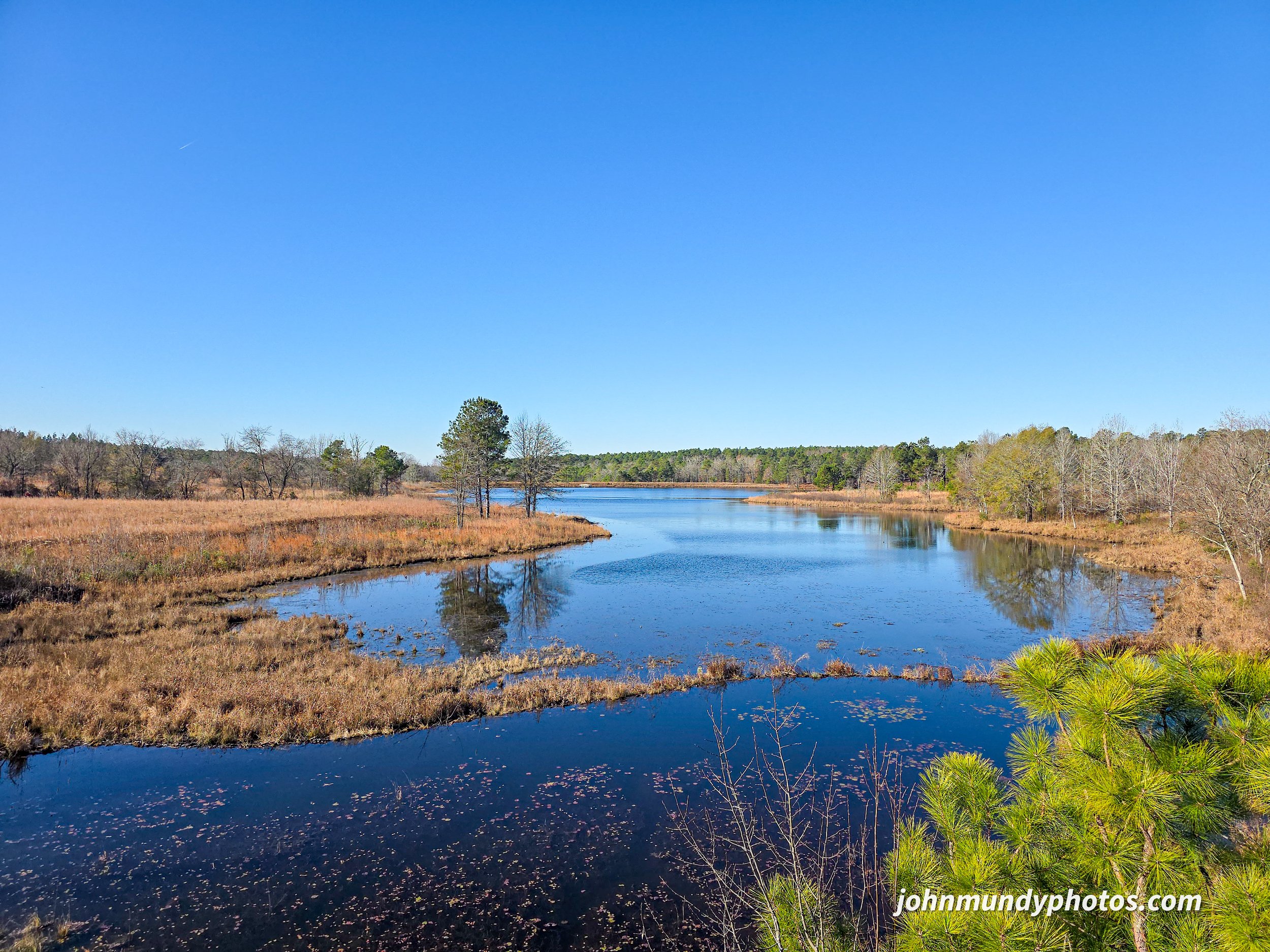 Carolina Sandhills National Wildlife Refuge 11.2025