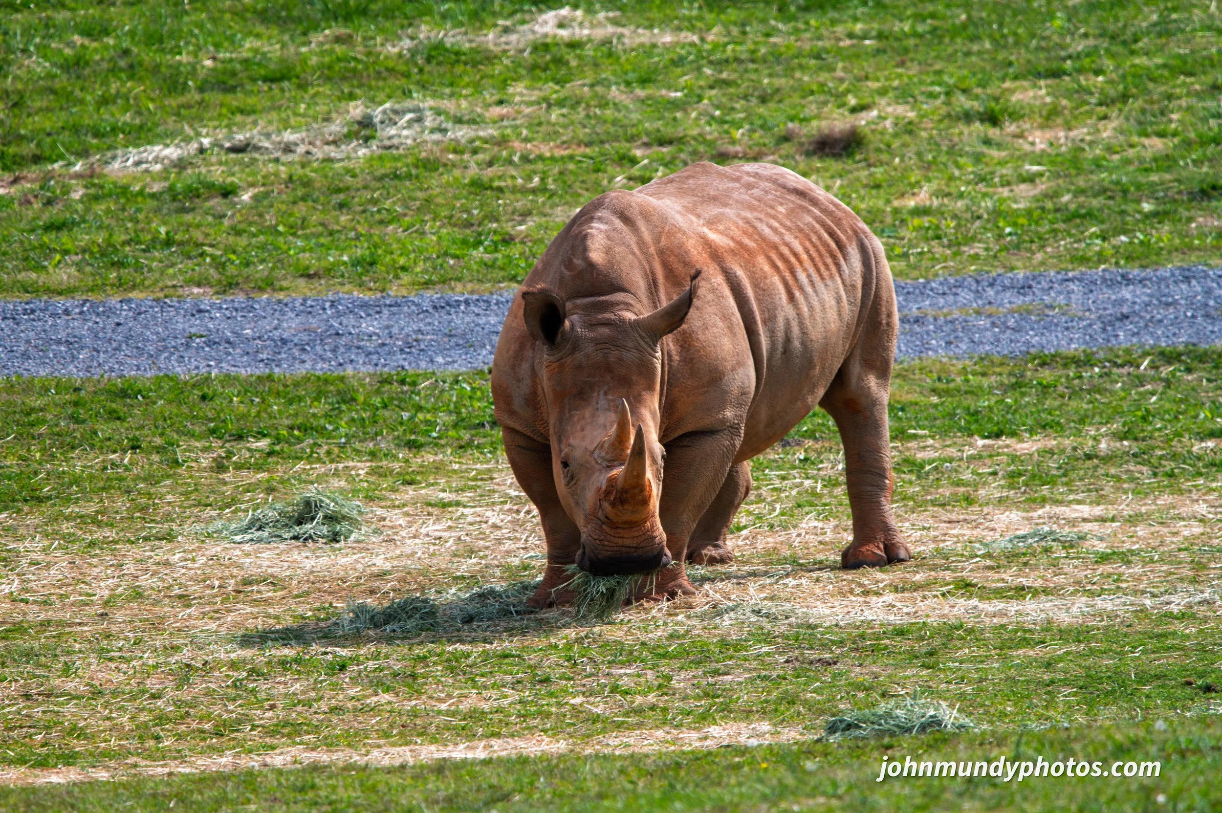 zoo-21.jpg