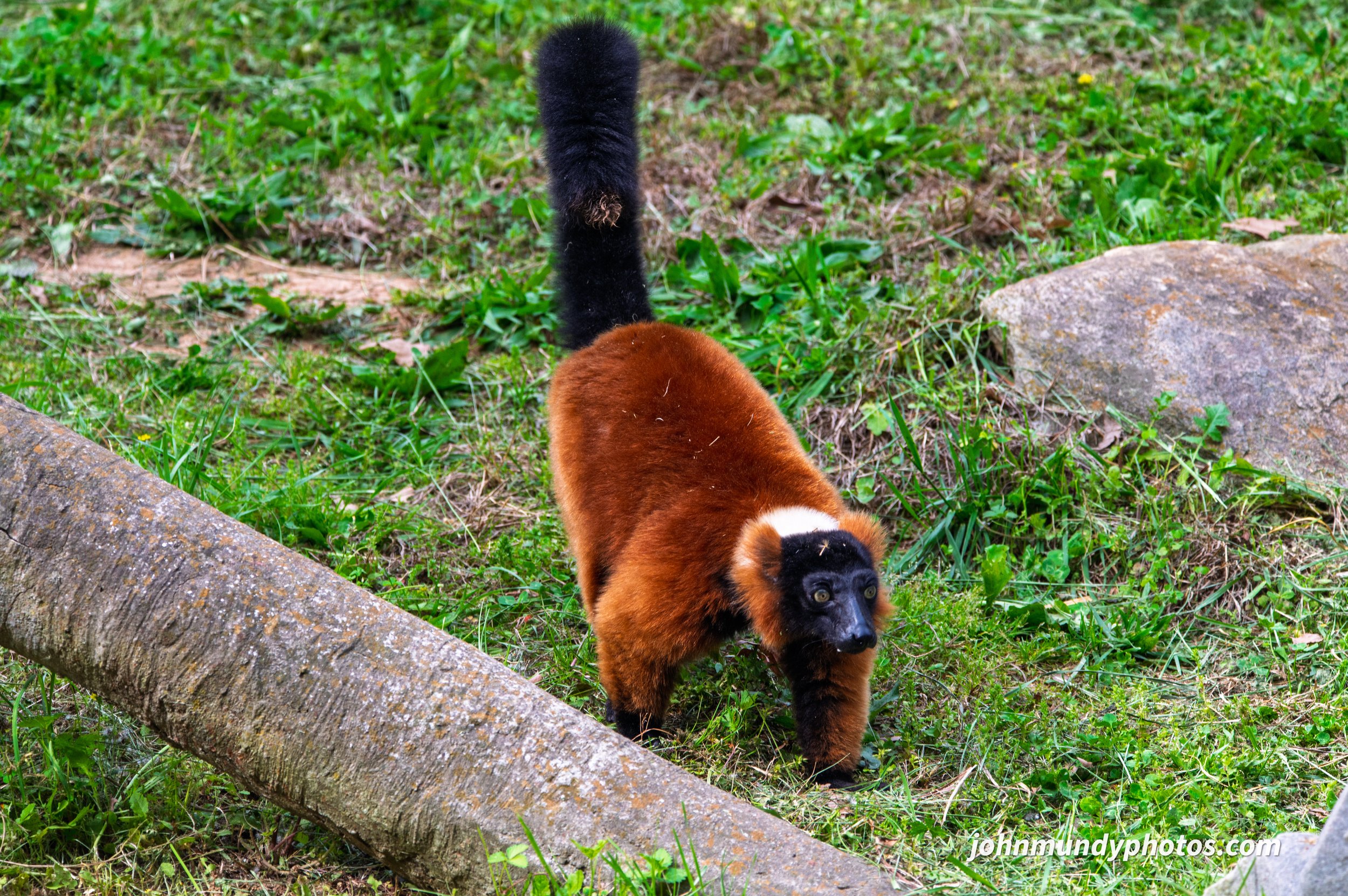zoo-34.jpg