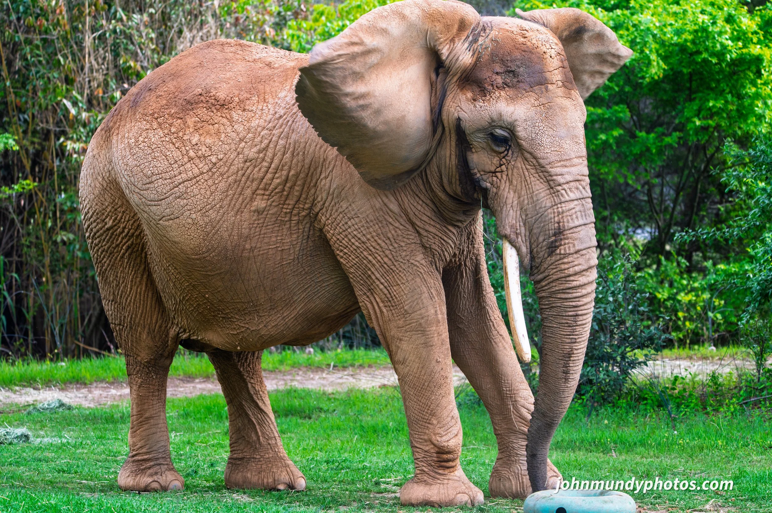 zoo-12.jpg
