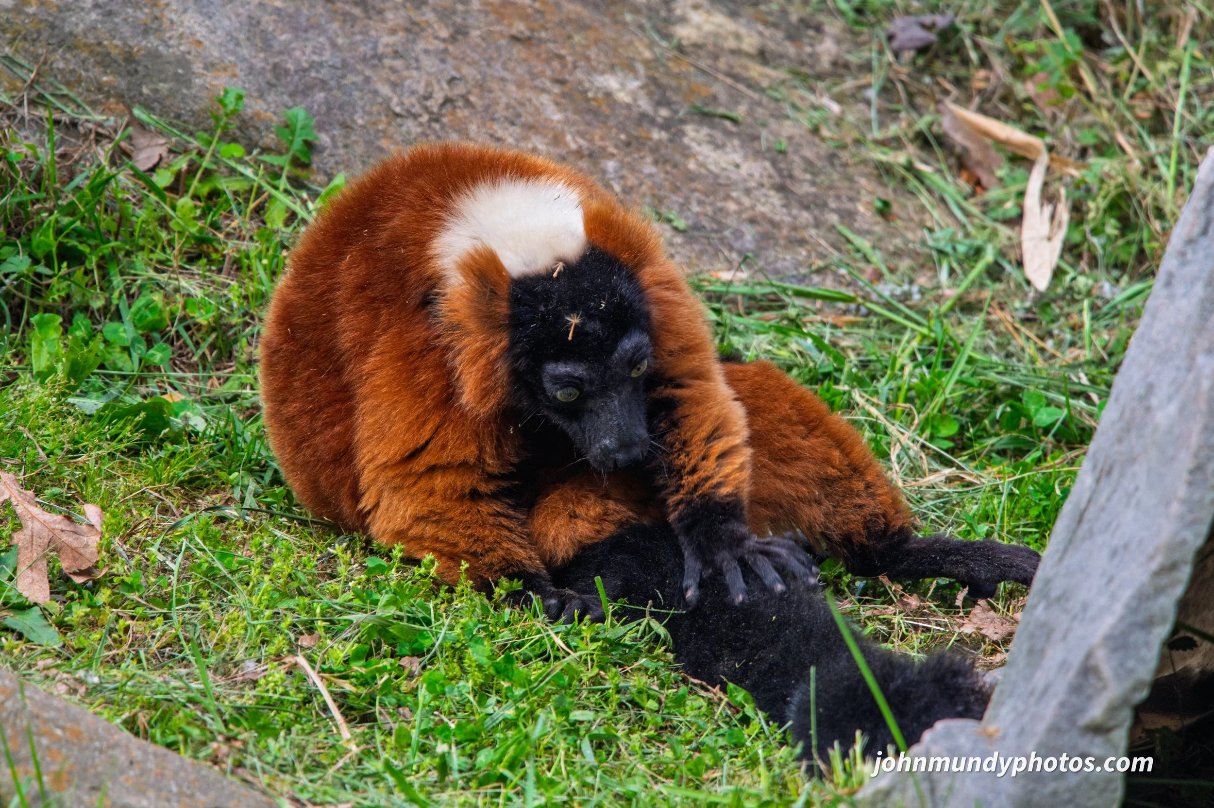 zoo-38.jpg