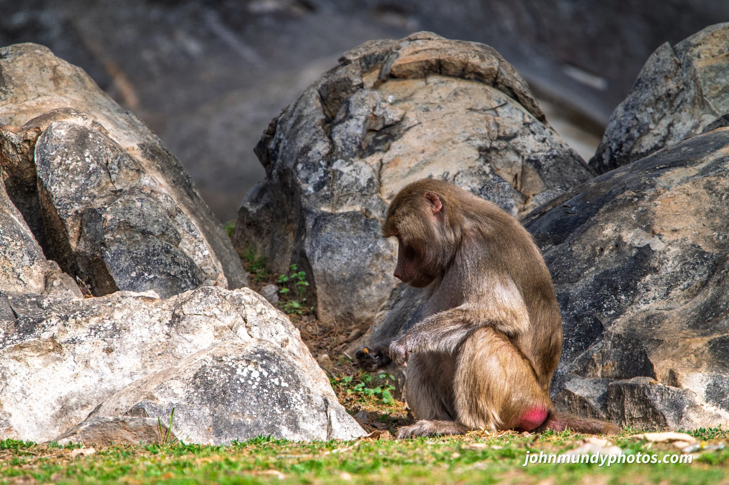zoo-29.jpg