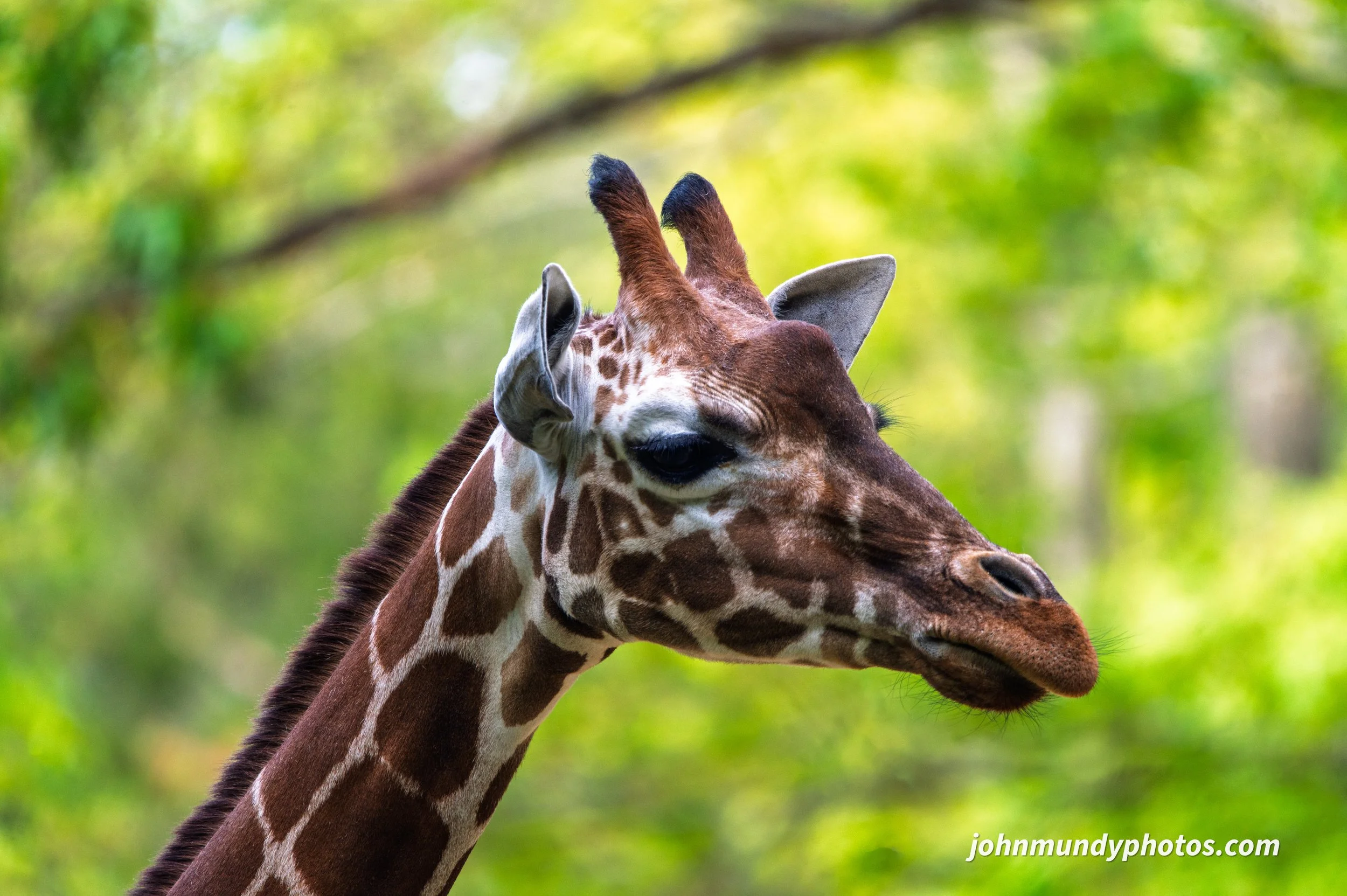 zoo-03.jpg