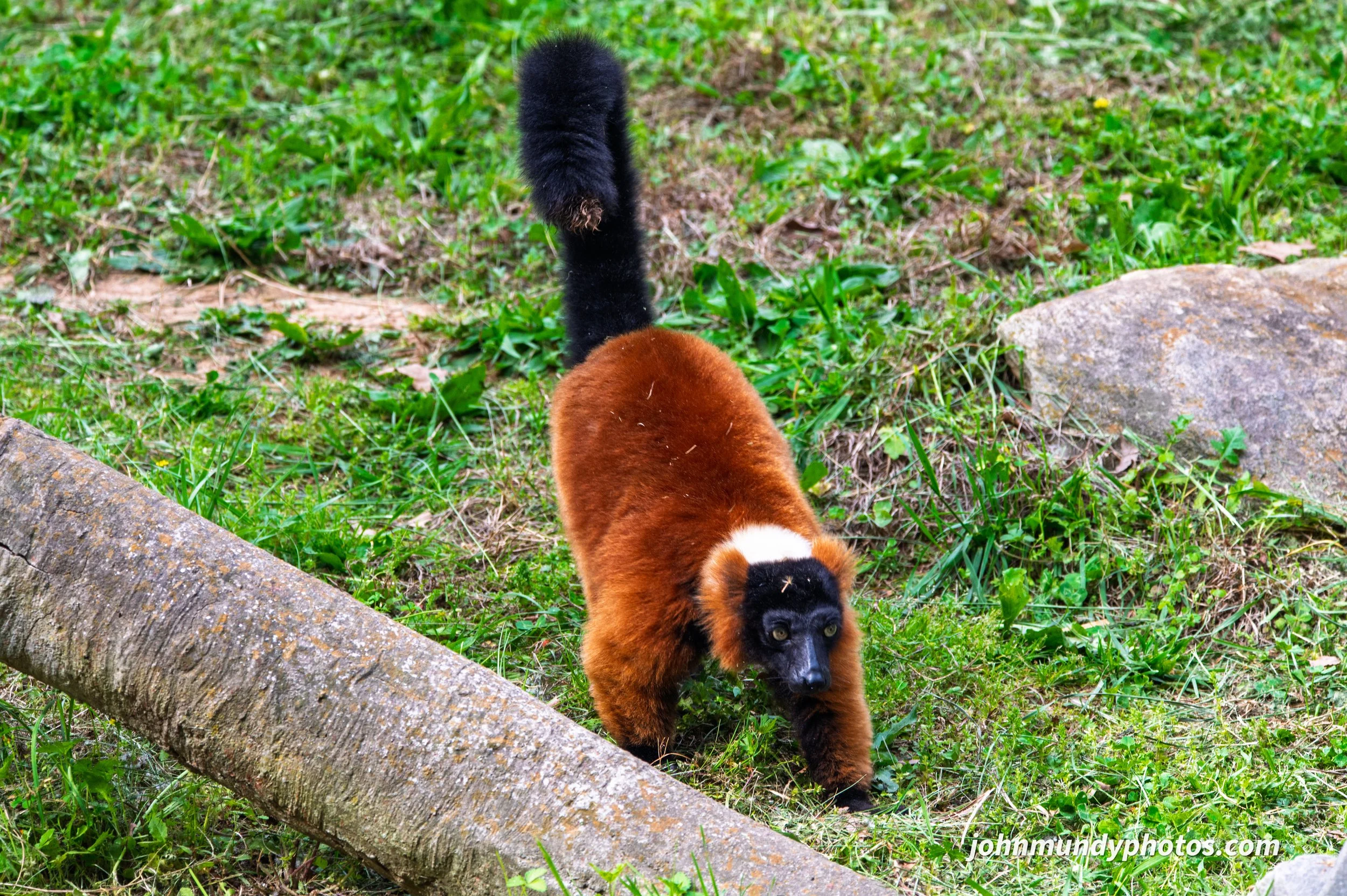 zoo-33.jpg