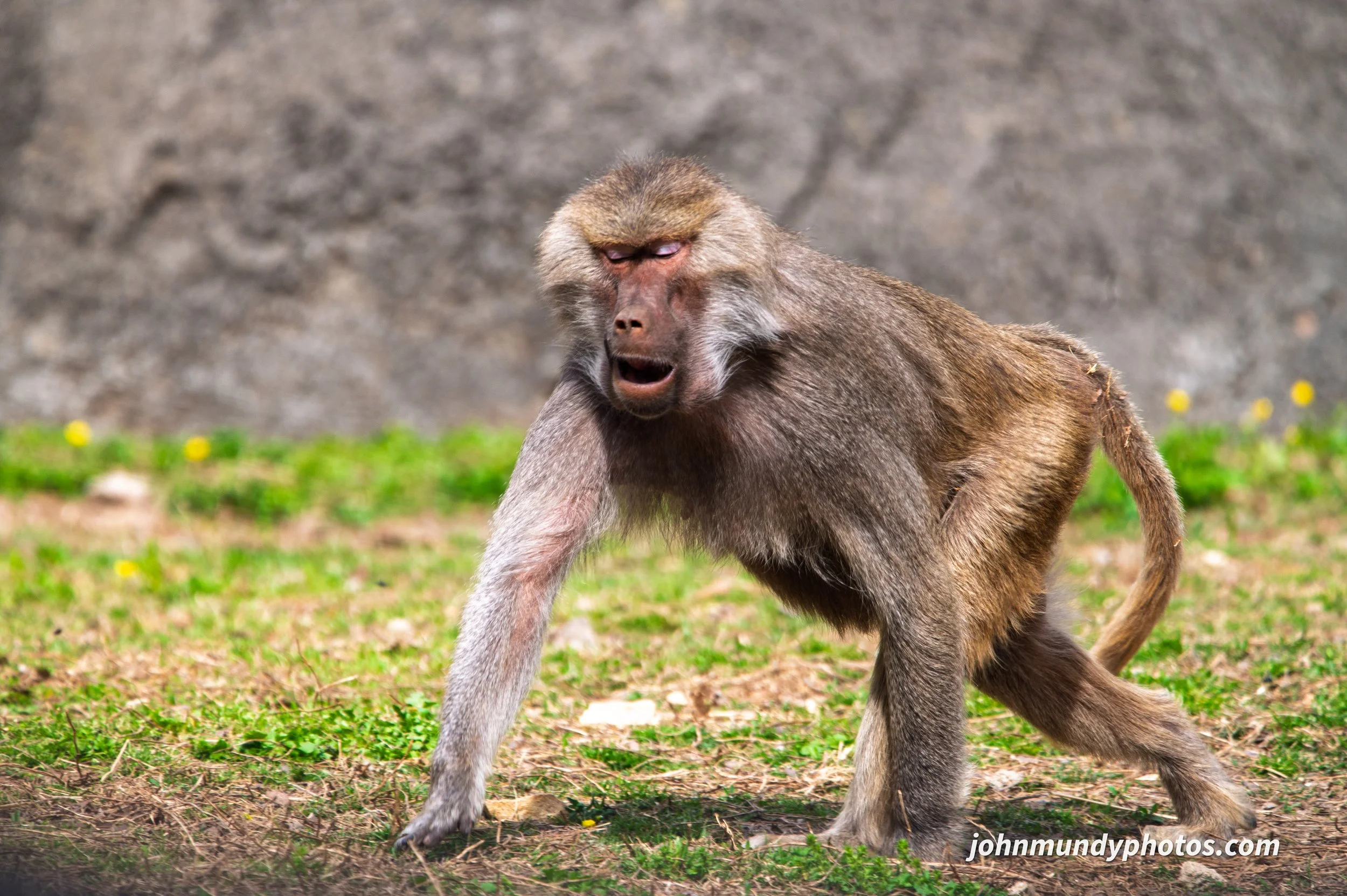 zoo-26.jpg