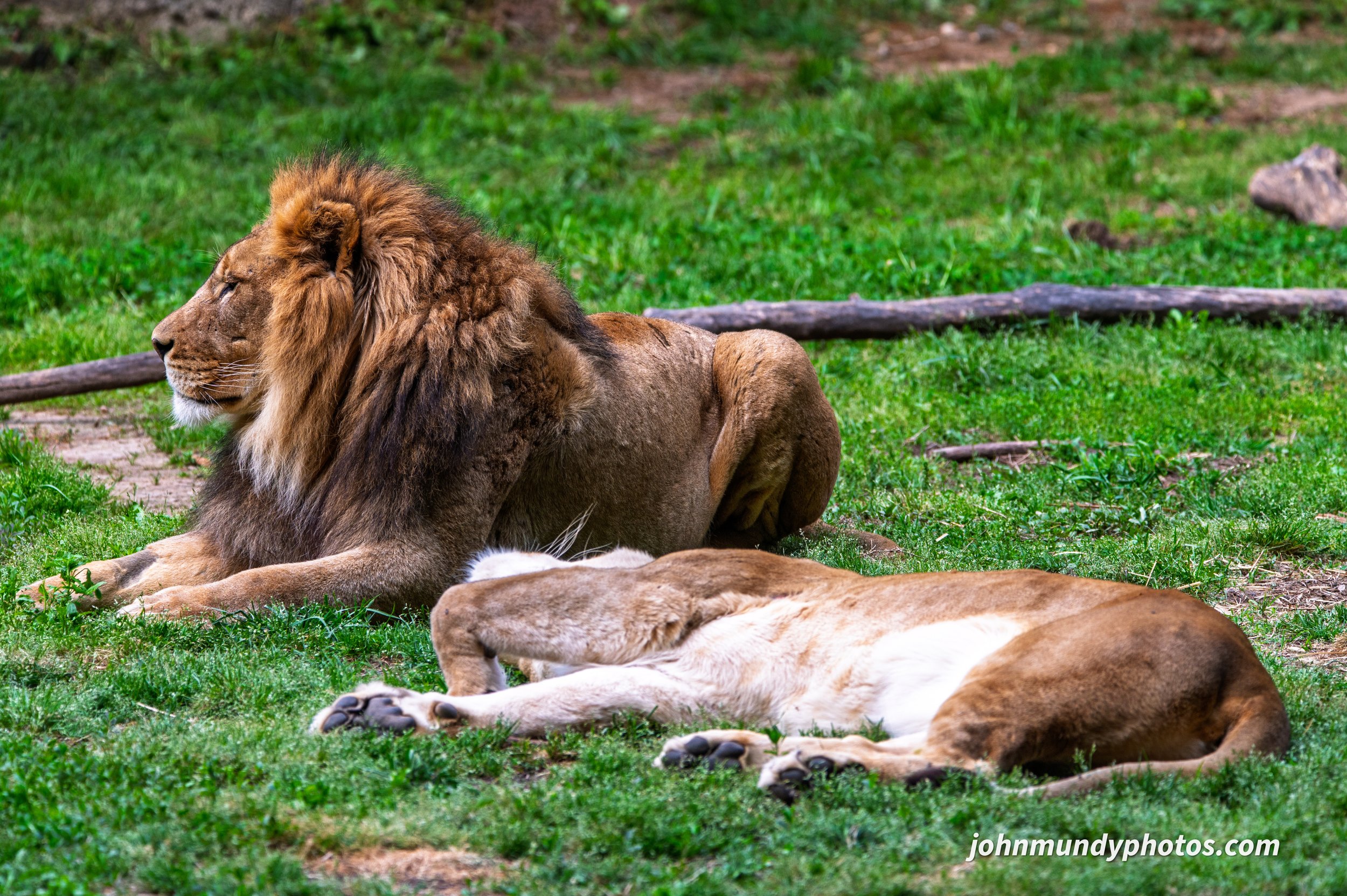 zoo-41.jpg