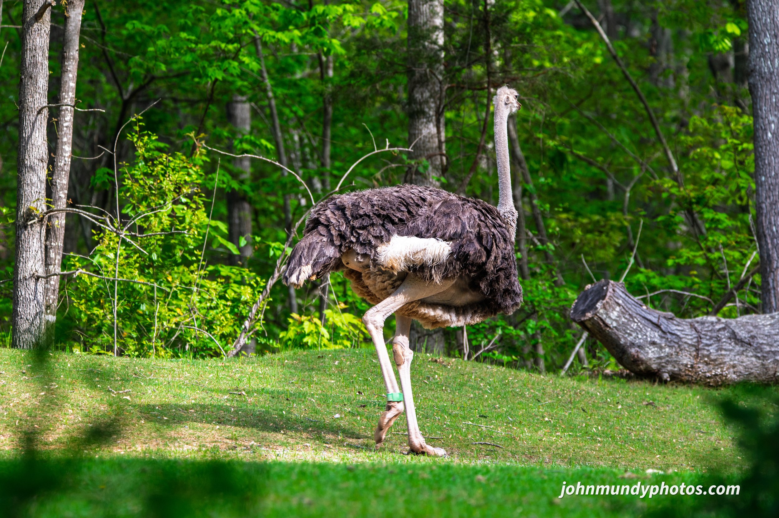 zoo-05.jpg