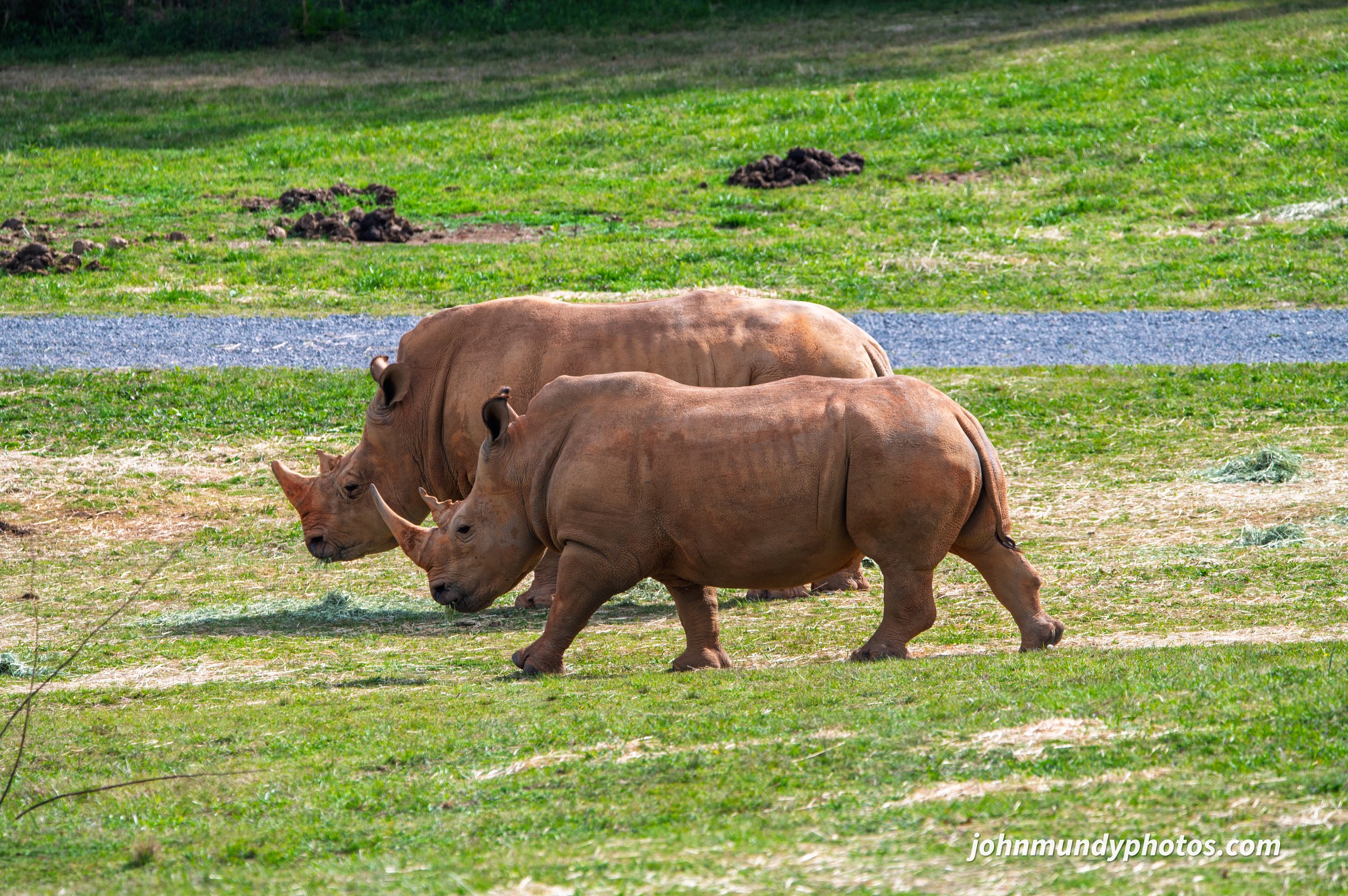 zoo-19.jpg