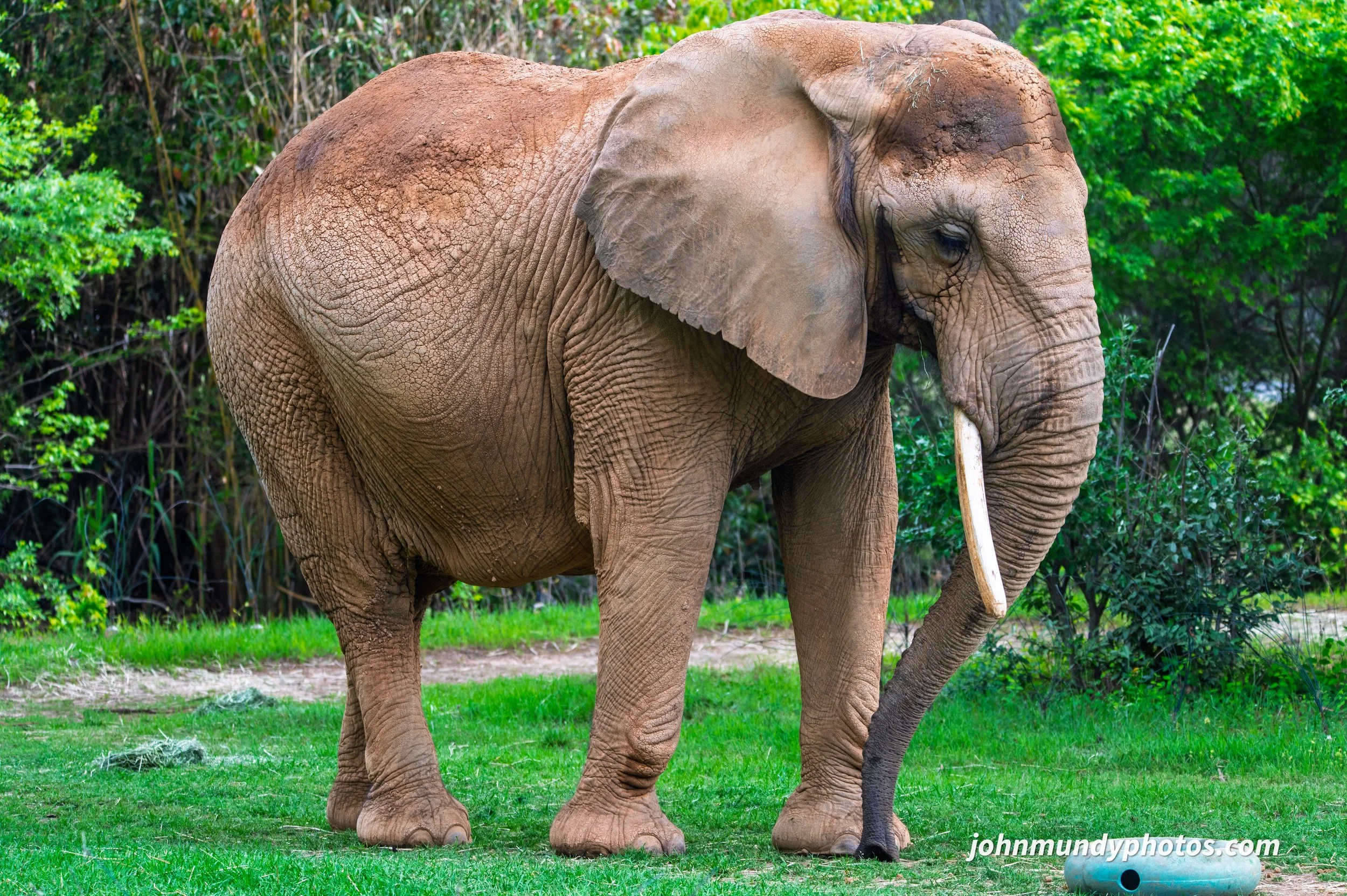 zoo-14.jpg