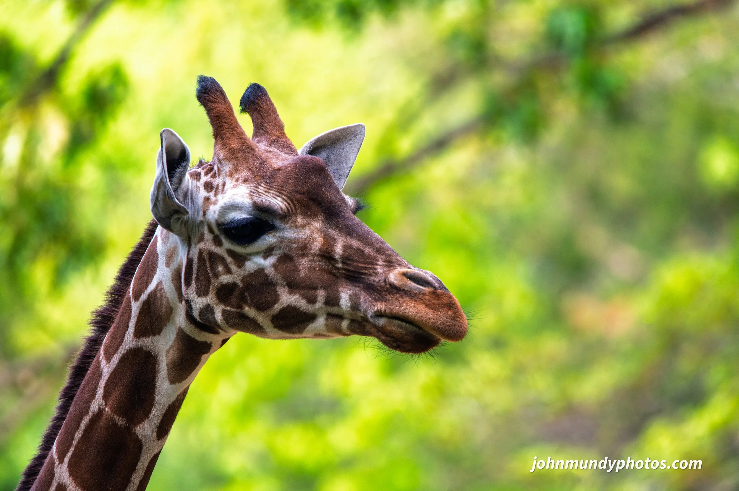 zoo-02.jpg
