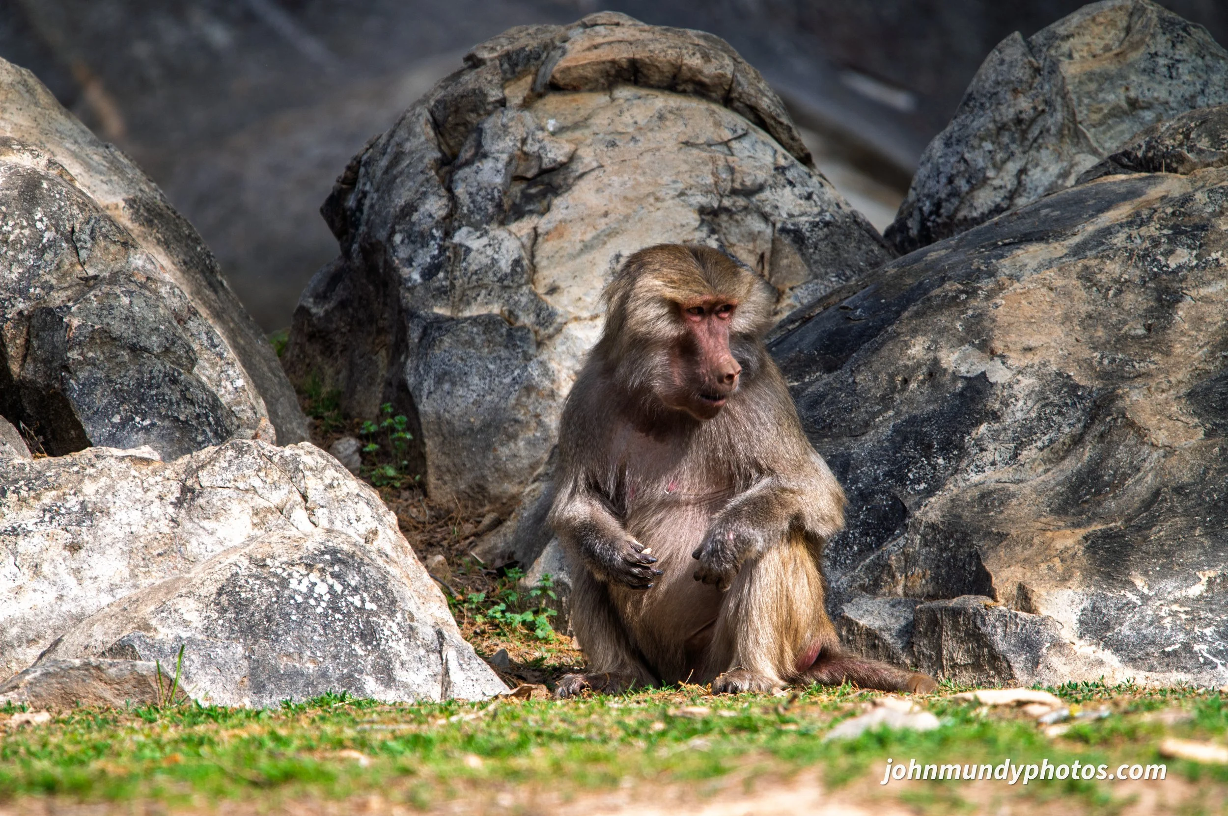 zoo-30.jpg