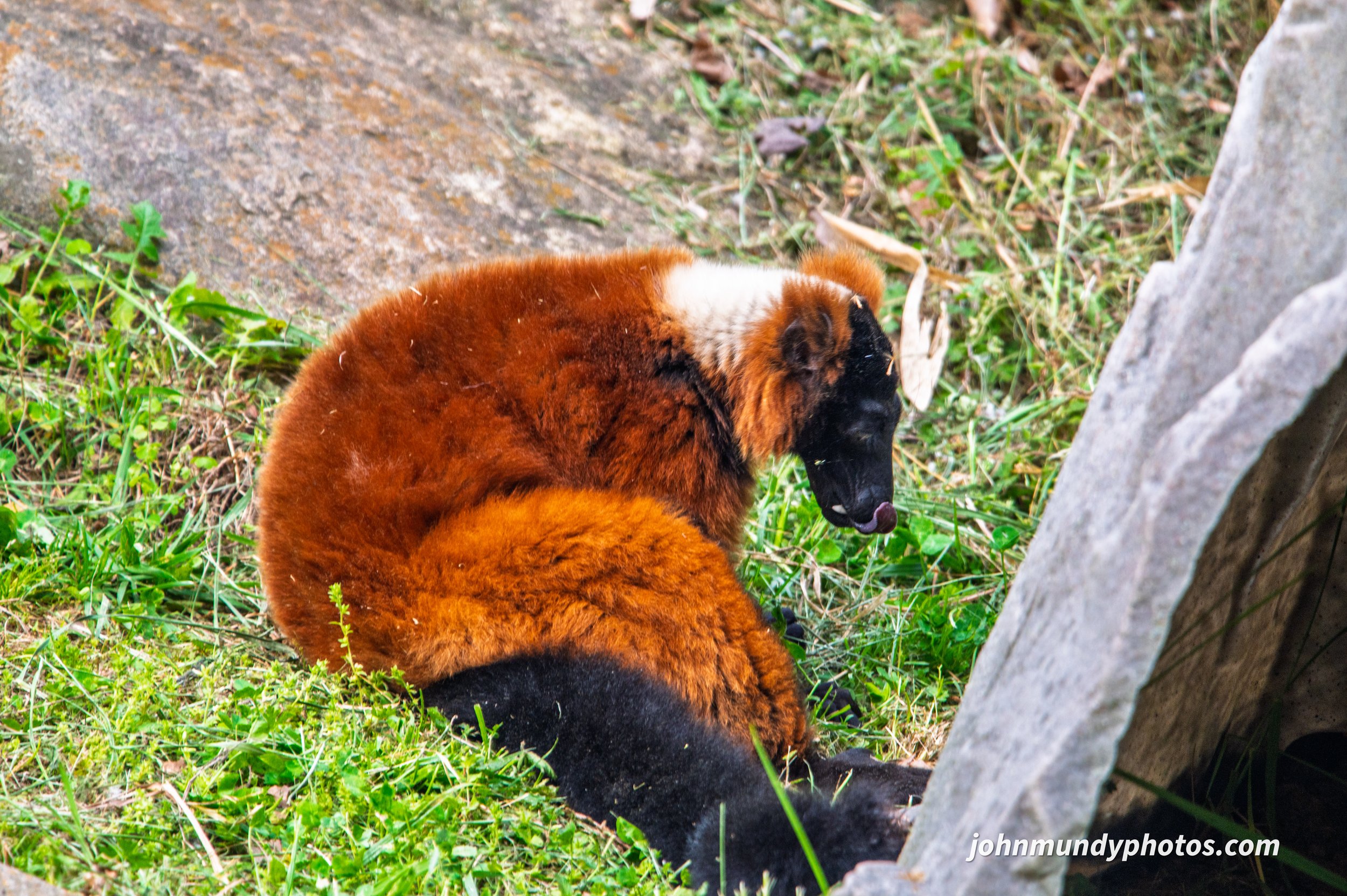 zoo-36.jpg