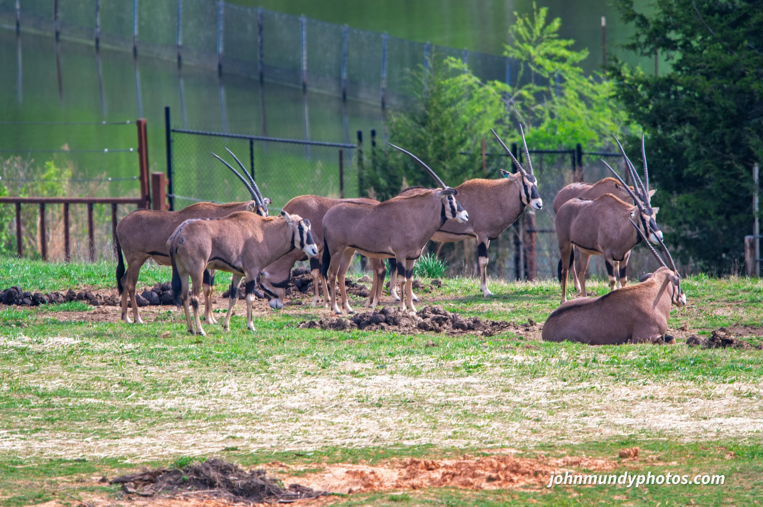 zoo-20.jpg