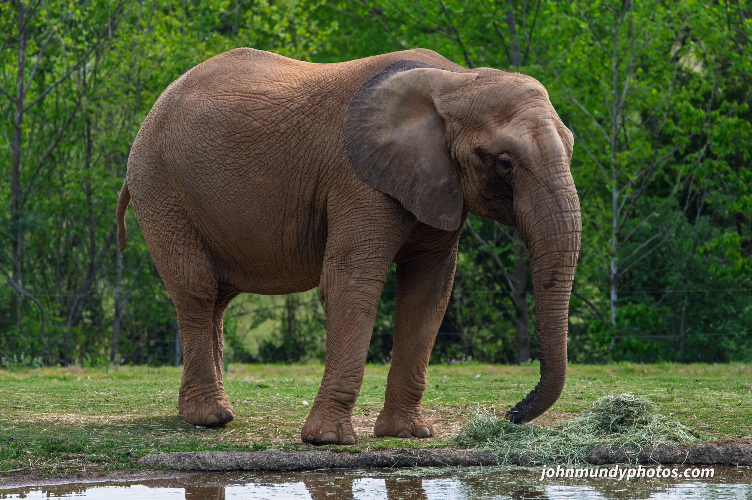 zoo-08.jpg