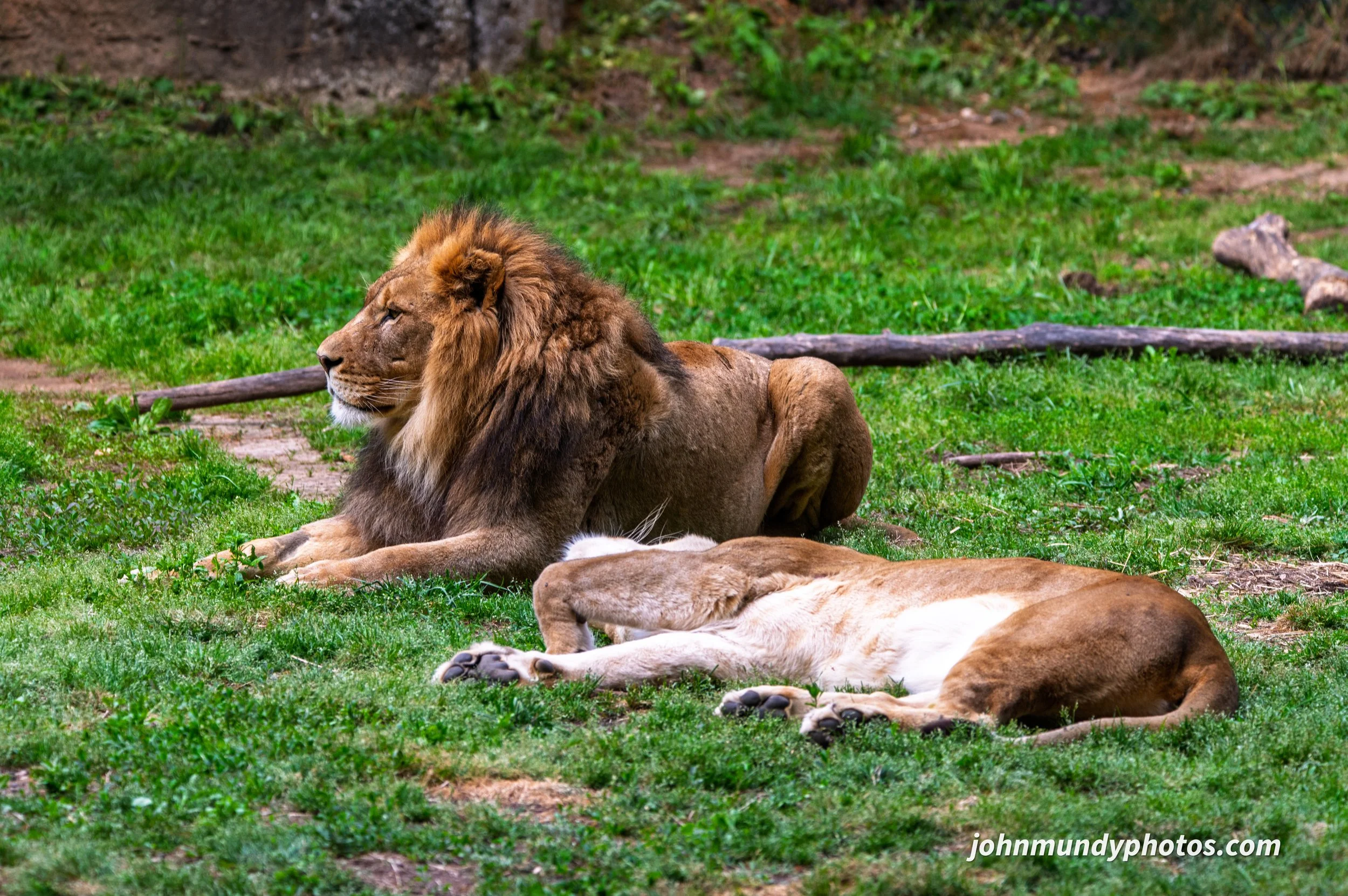 zoo-40.jpg