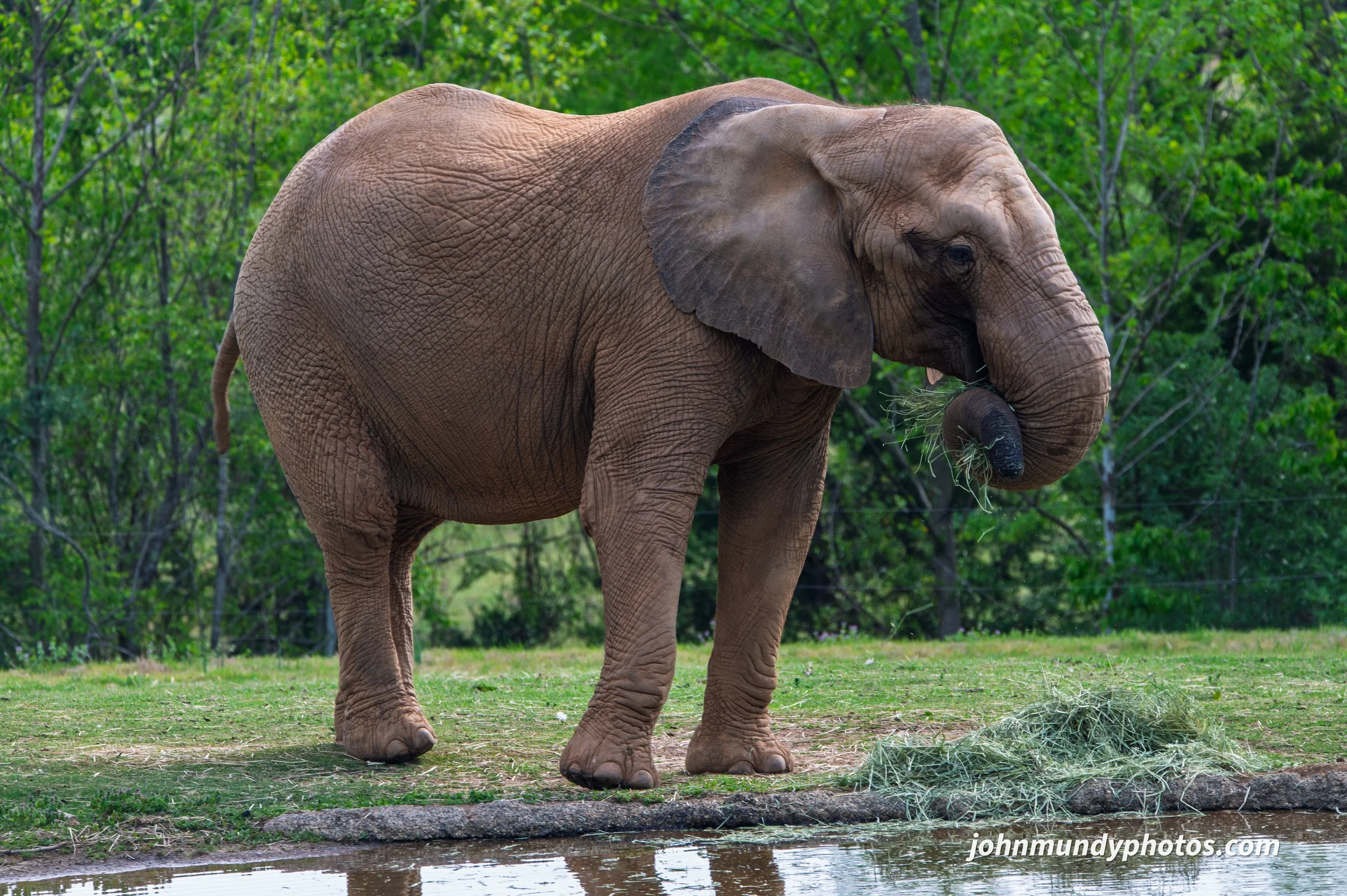 zoo-10.jpg