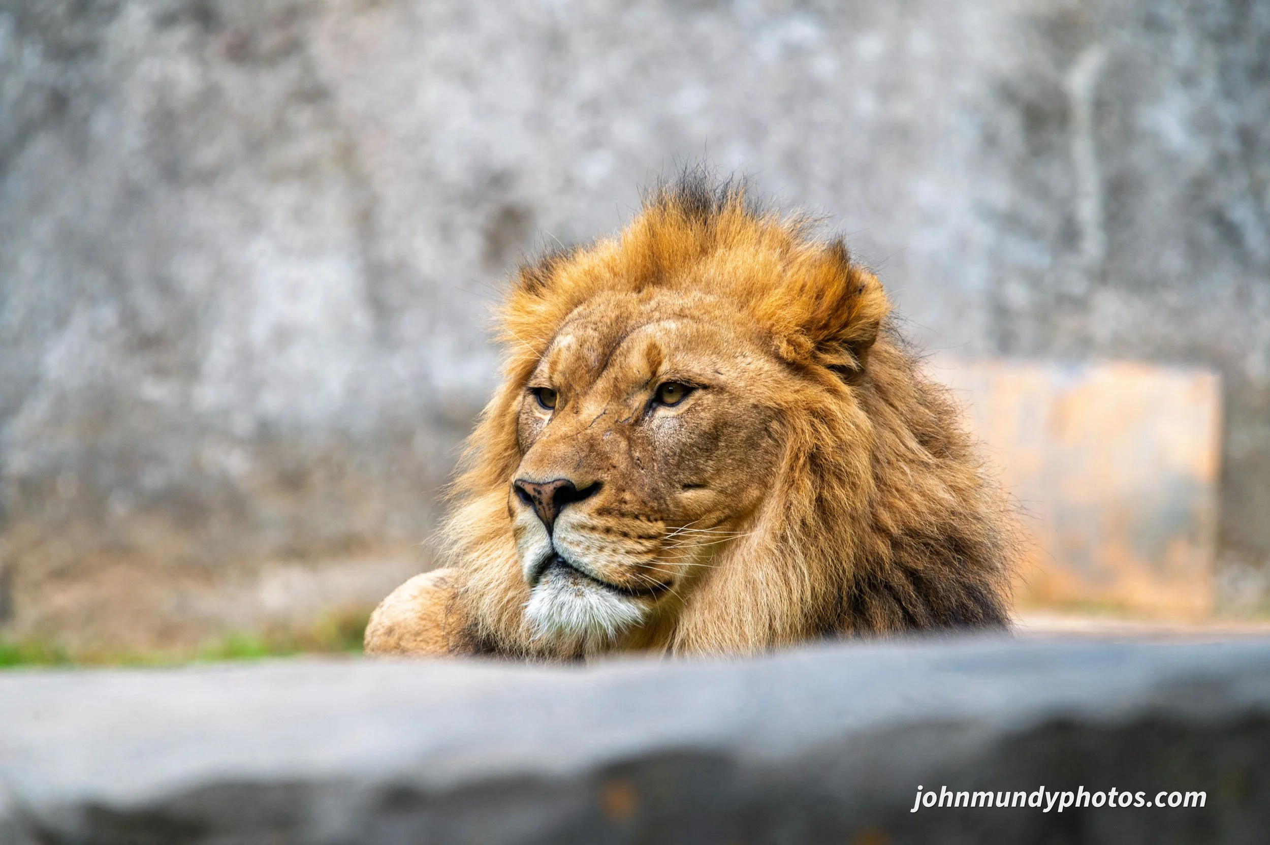 zoo-42.jpg