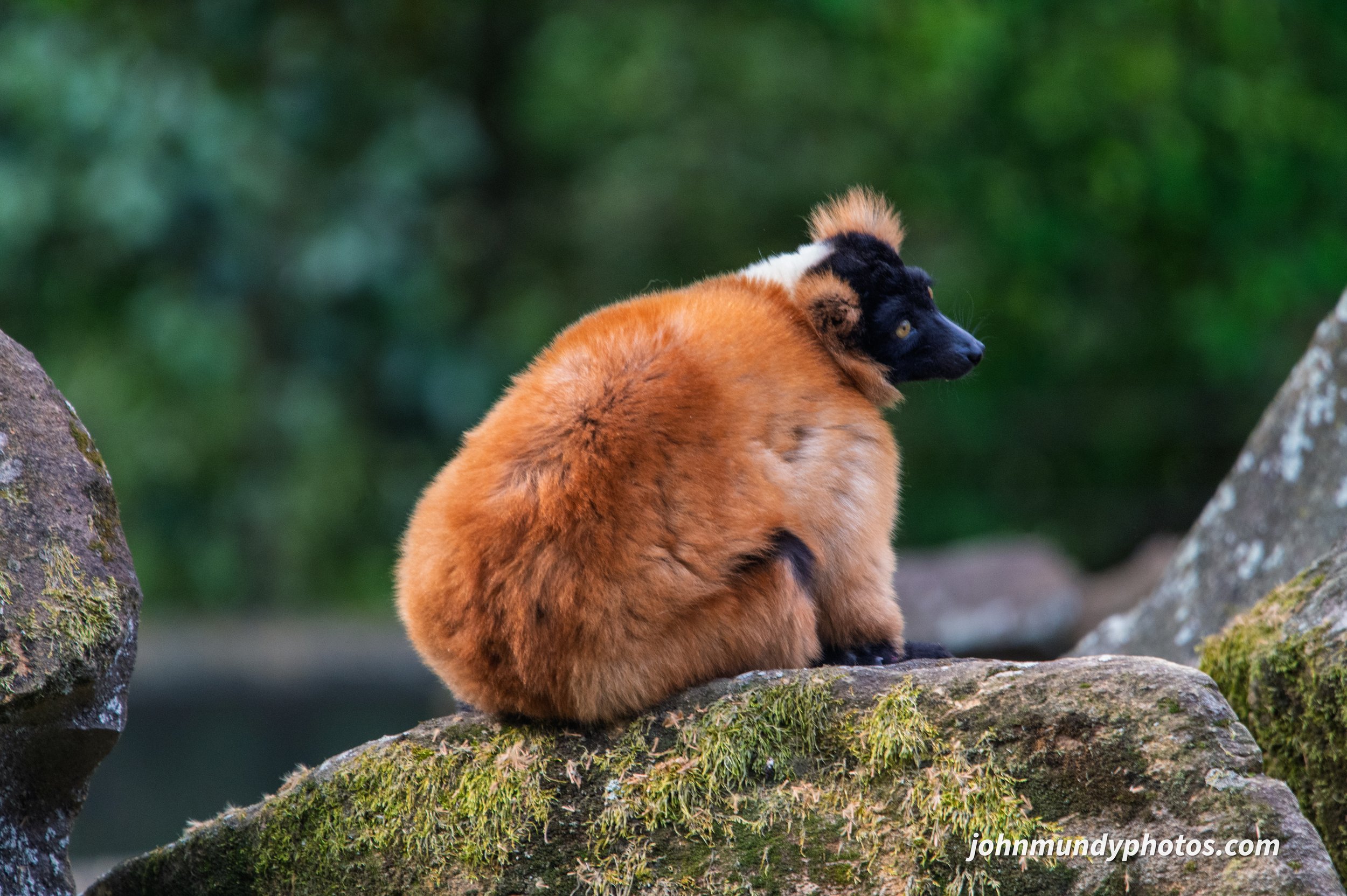 zoo-39.jpg