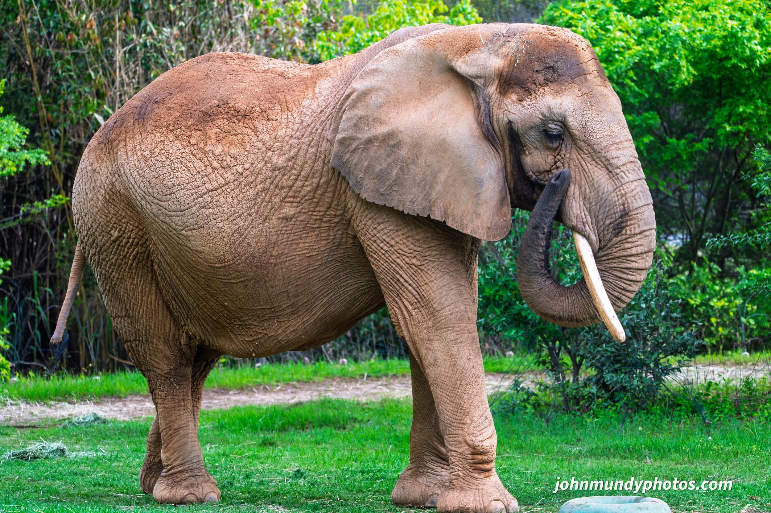zoo-13.jpg