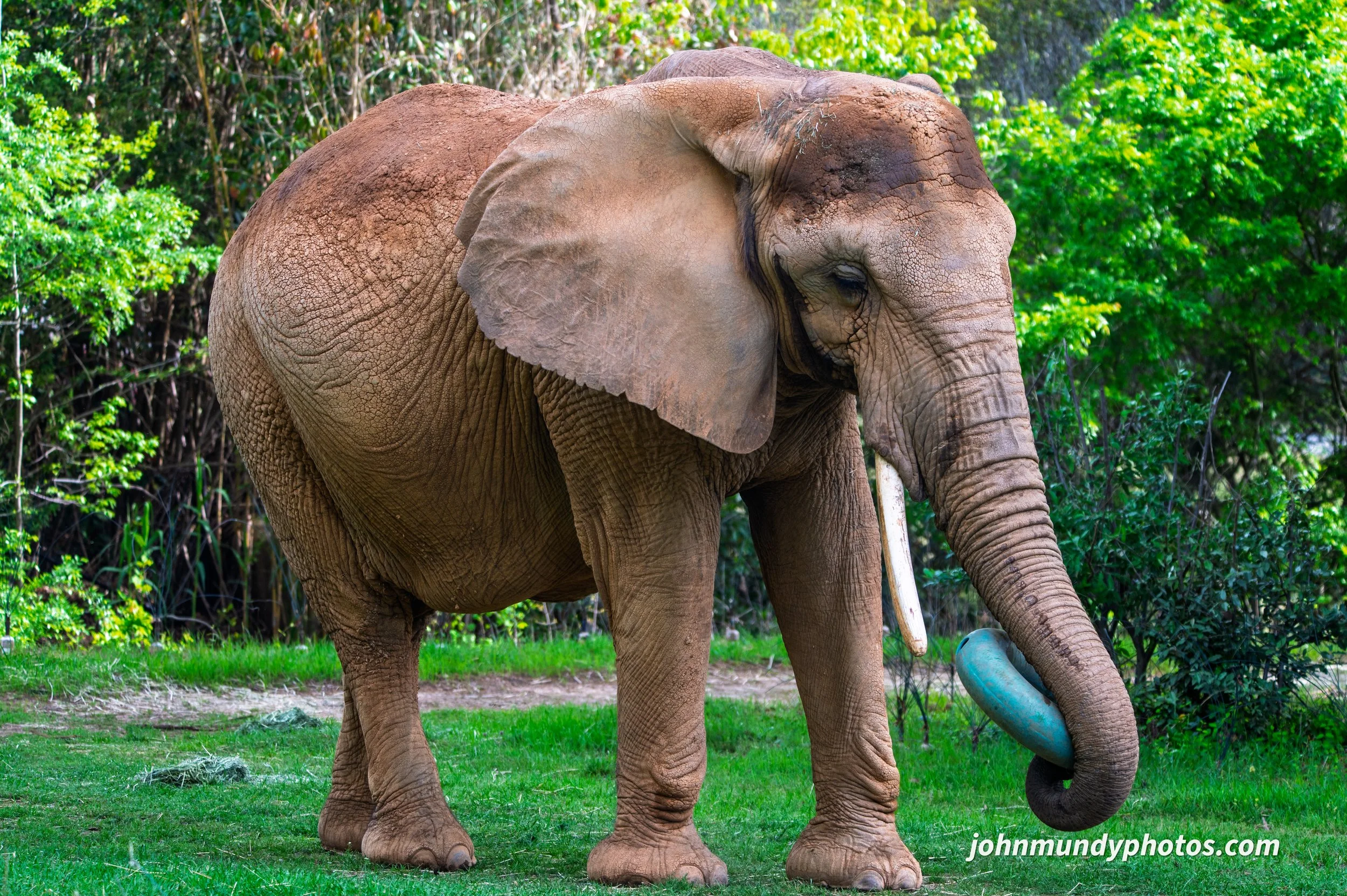 zoo-16.jpg