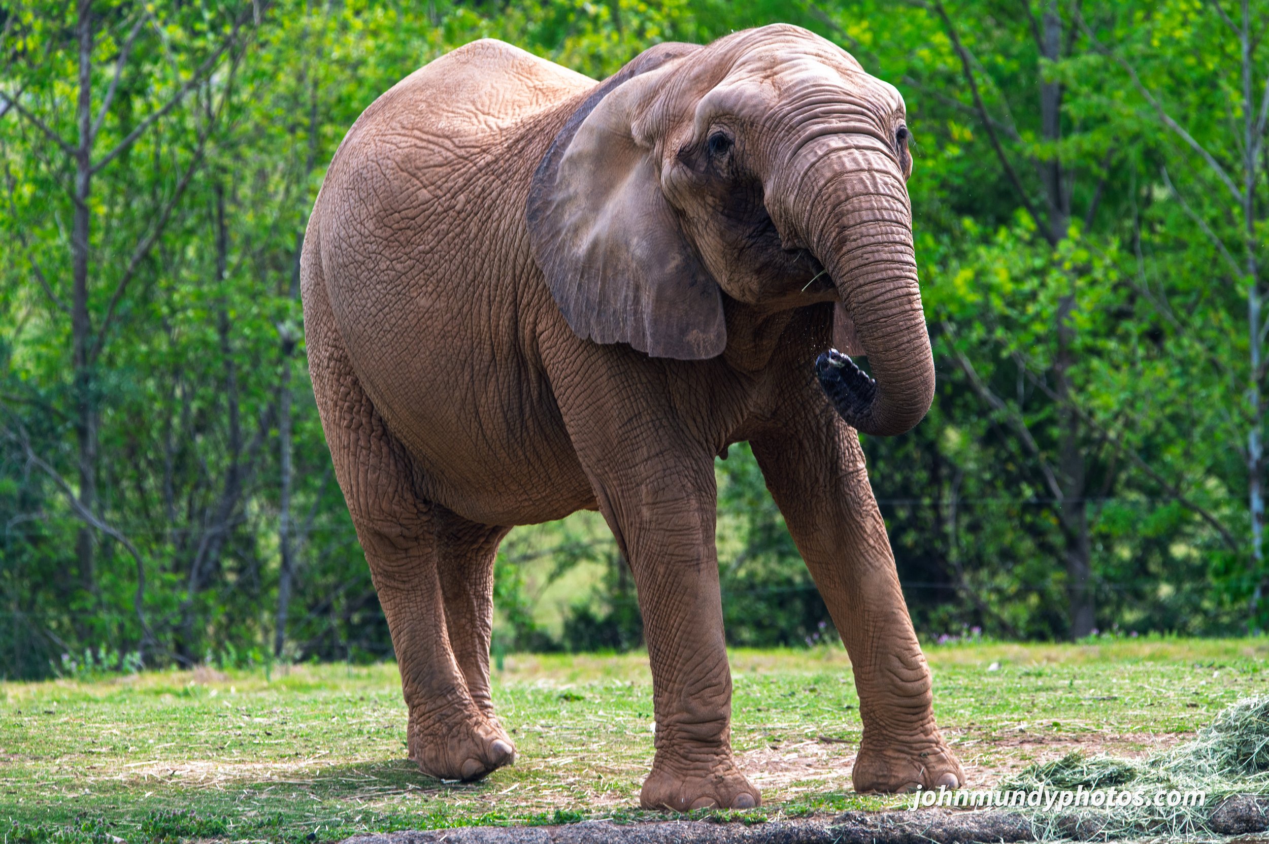 zoo-06.jpg